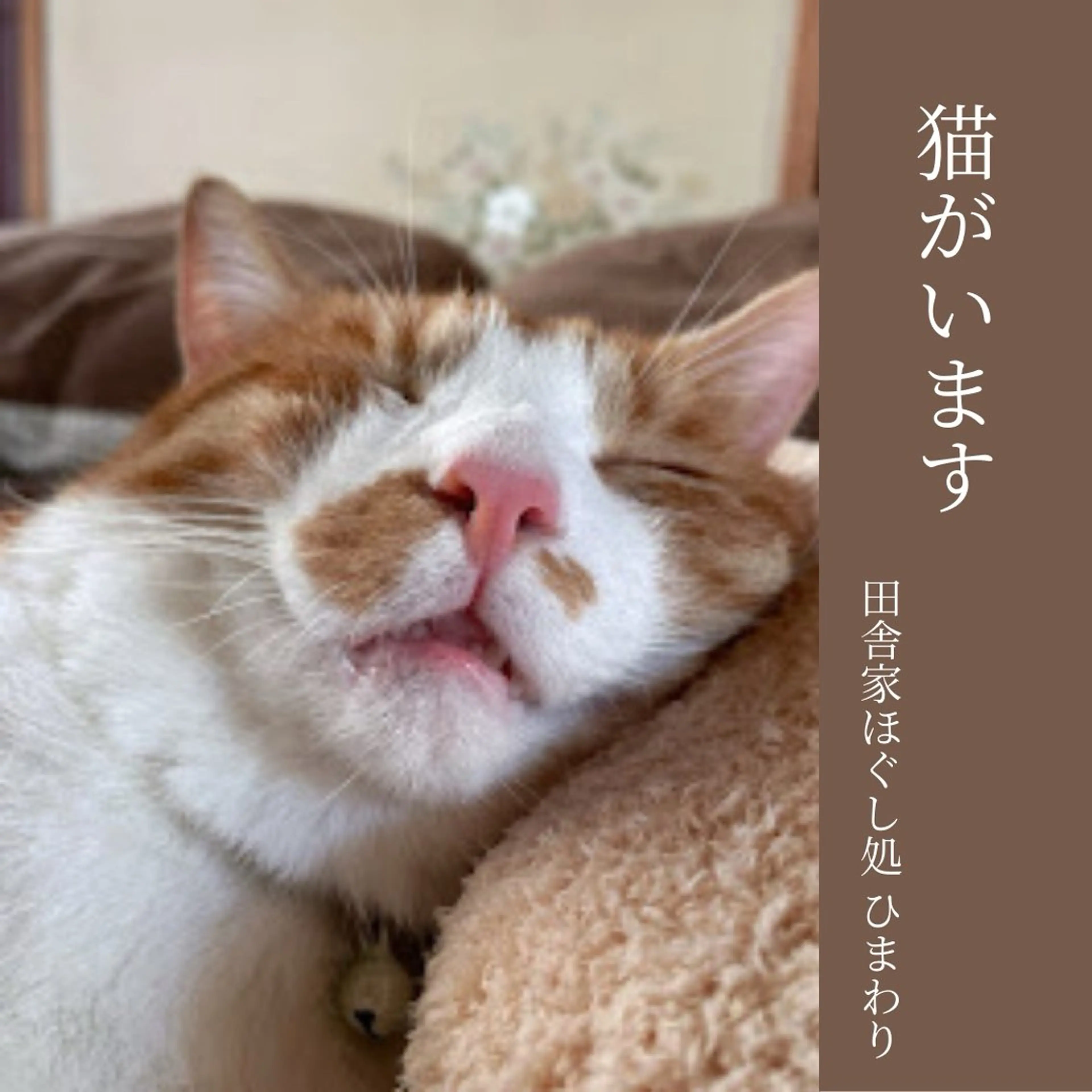 山嵜 まりこのその他イメージ