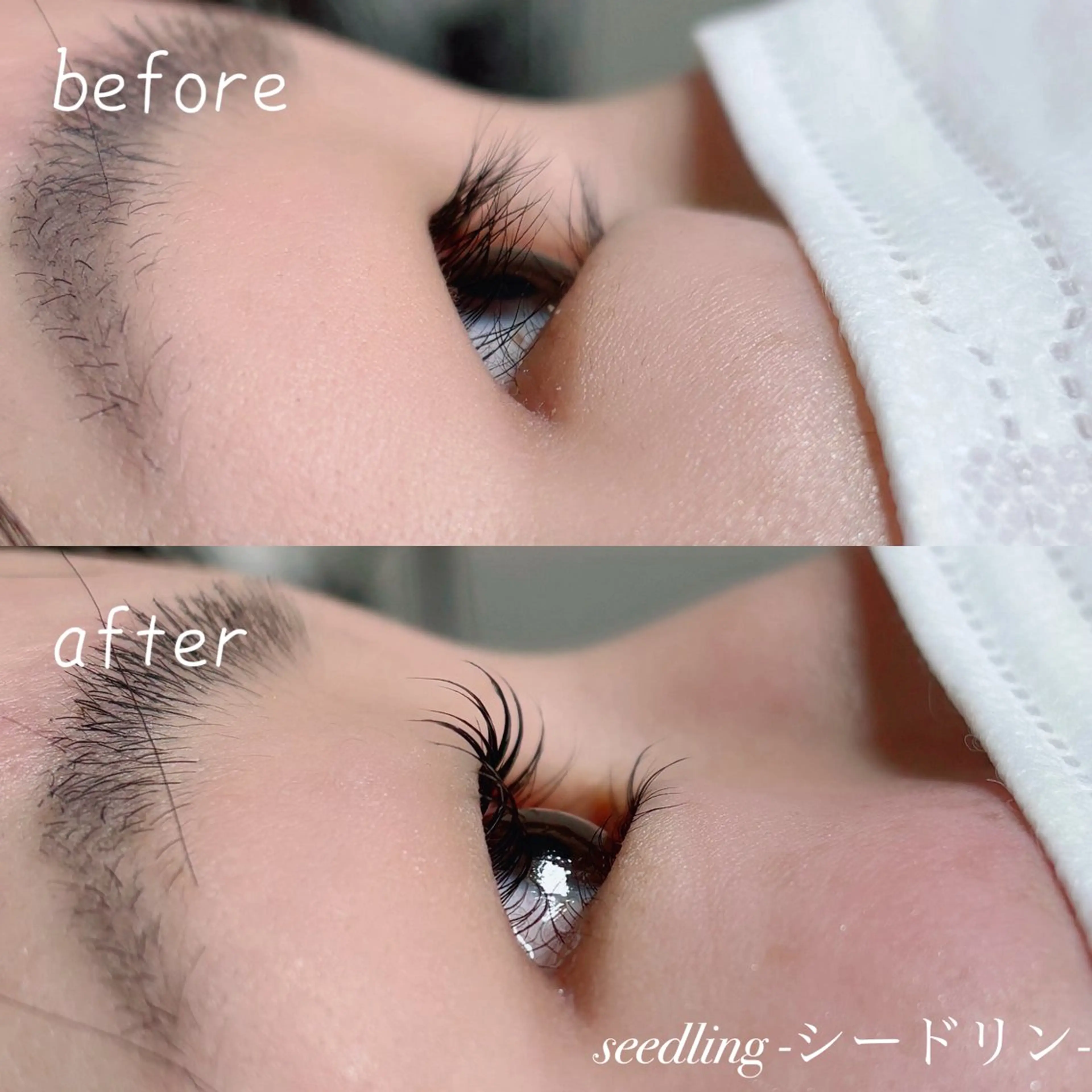 マツエク・マツパ シードリン 府内店 小野梨央のマツエク・マツパデザイン