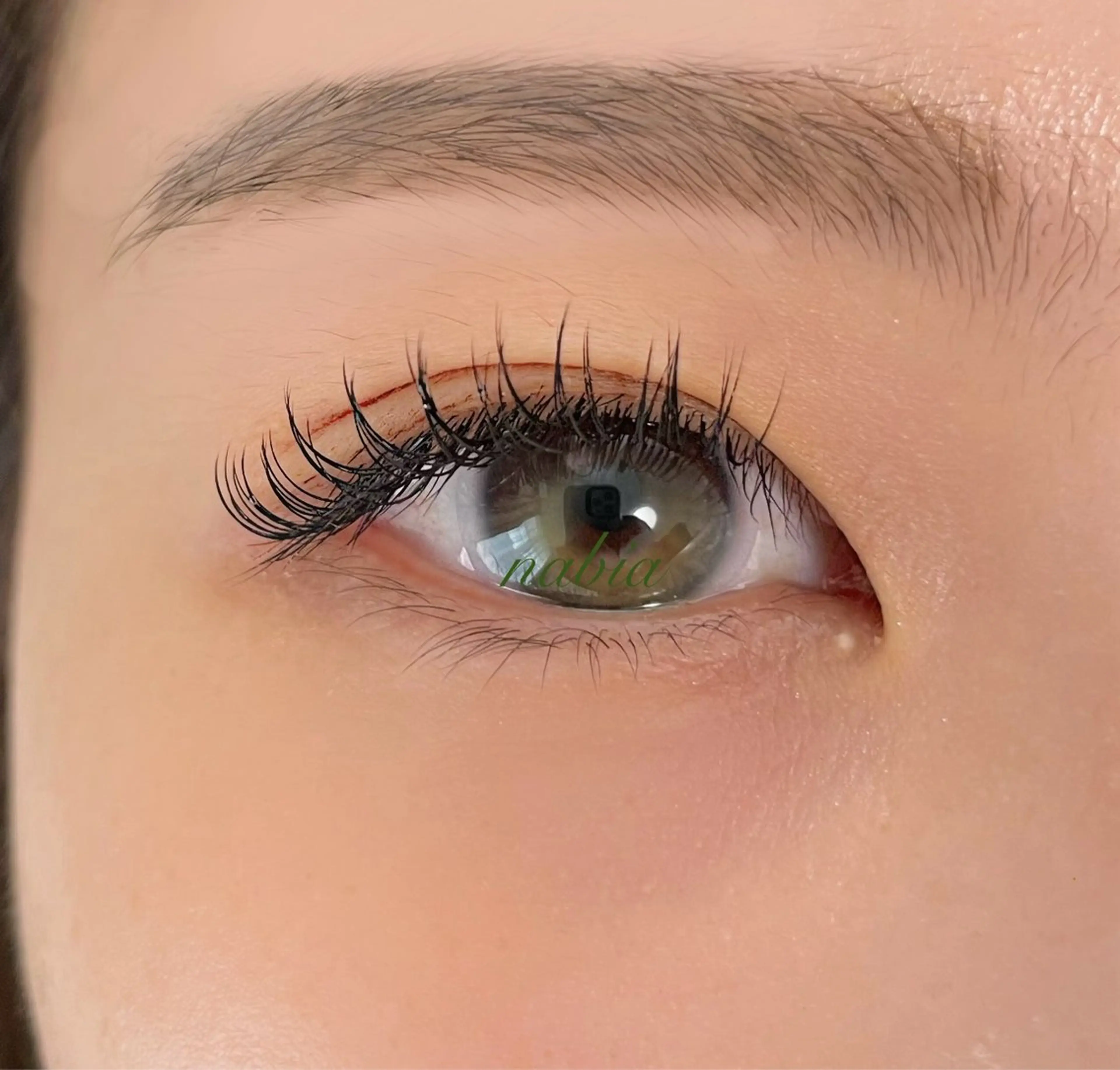 フラットラッシュ100本の写真