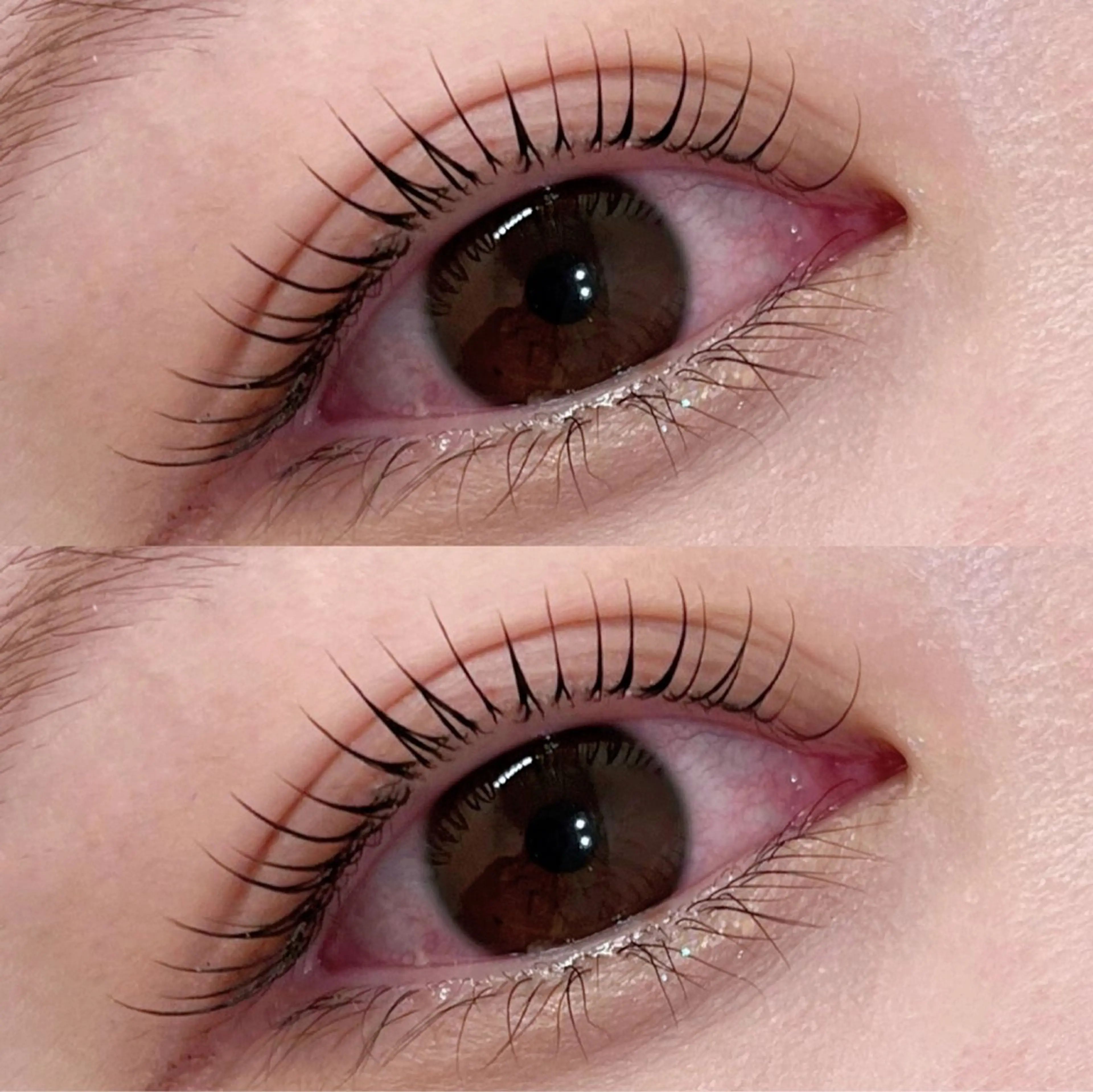 マツエク・マツパ マツパ coco / EYELAのマツエク・マツパデザイン