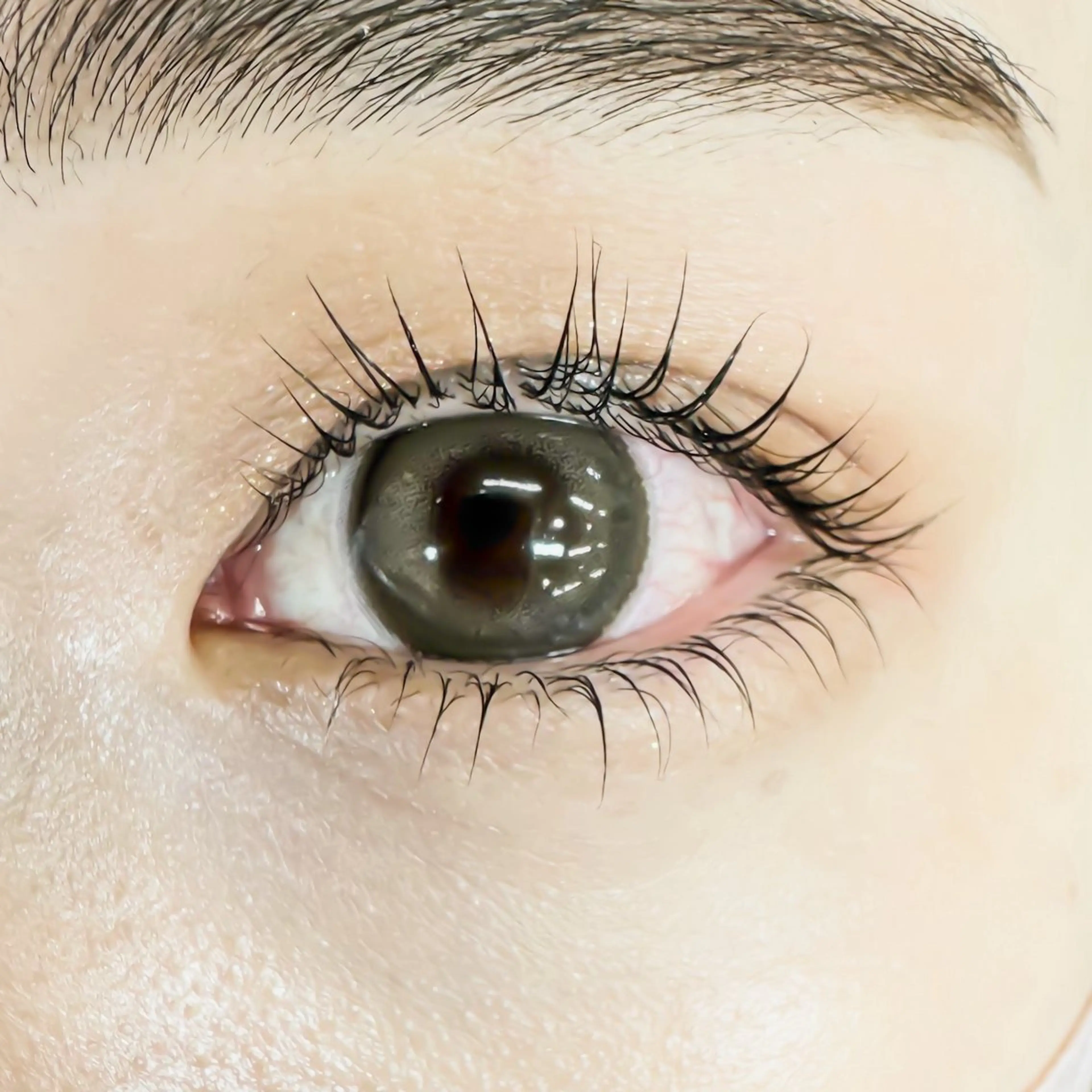 人気向上中🐼◯まつげパーマ+眉毛スタイリング◯🐼の写真