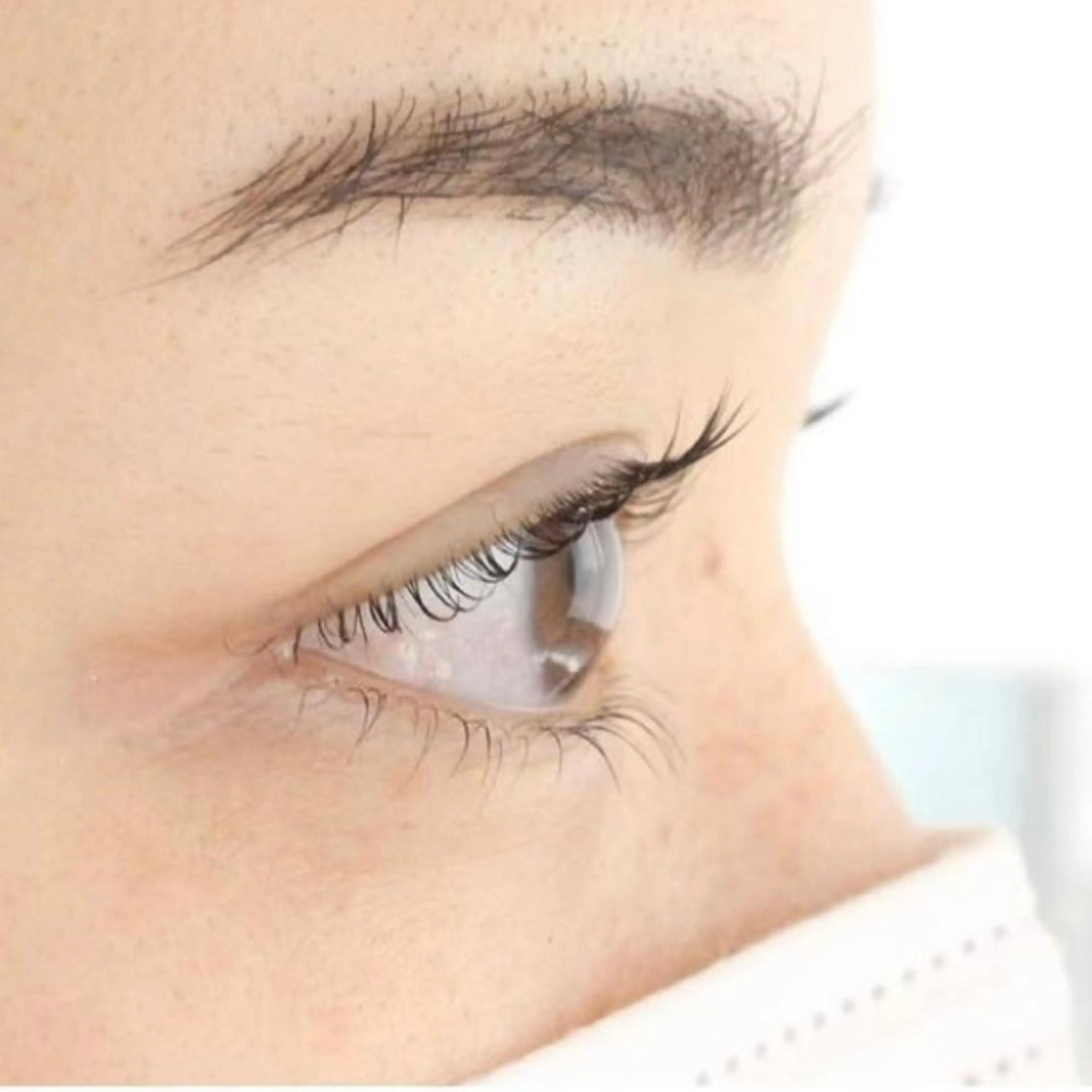 Lash lift 上下　(トリートメント付)の写真