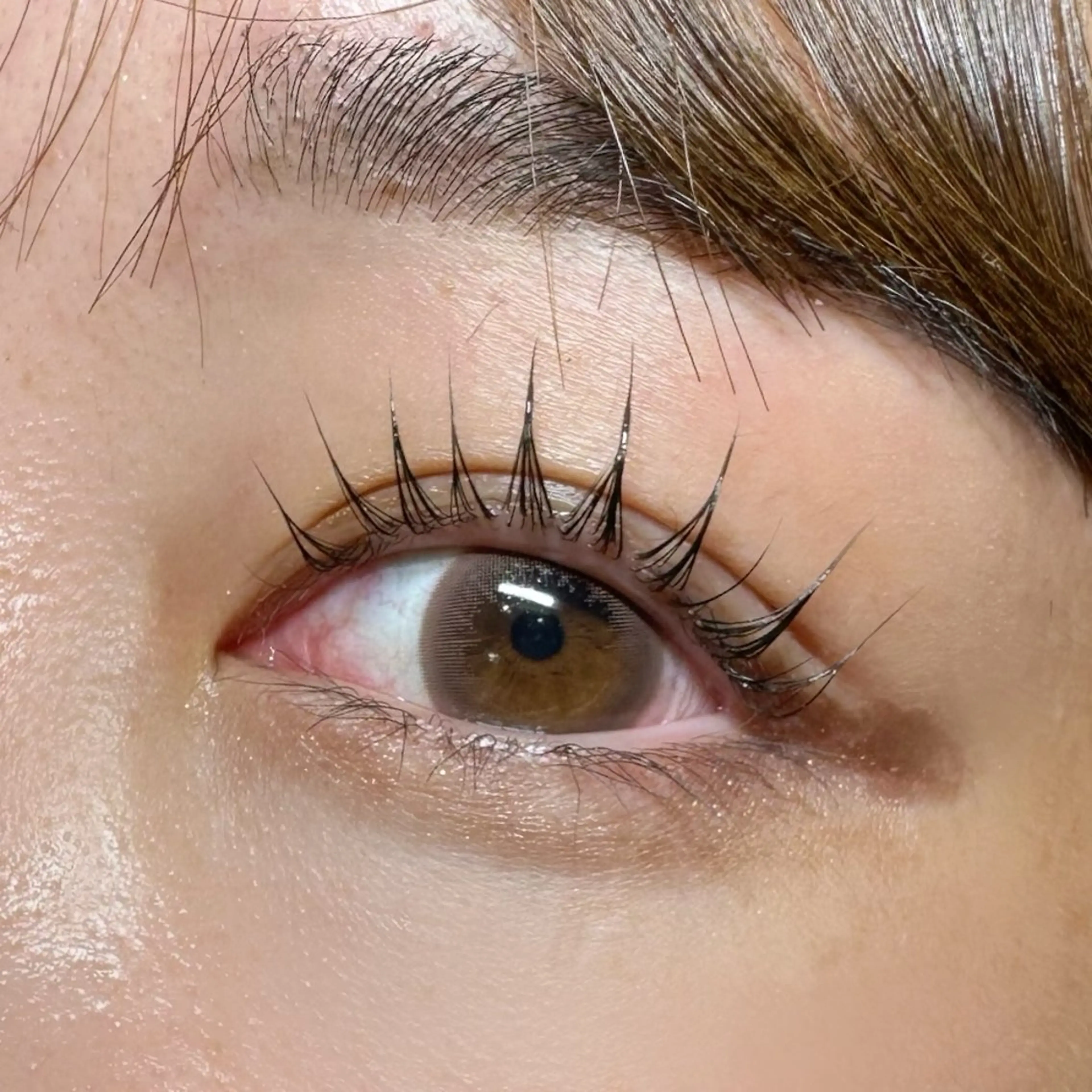 マツエク・マツパ マツパ NOA名駅束感まつげ ×眉毛SENA‪🎀のマツエク・マツパデザイン