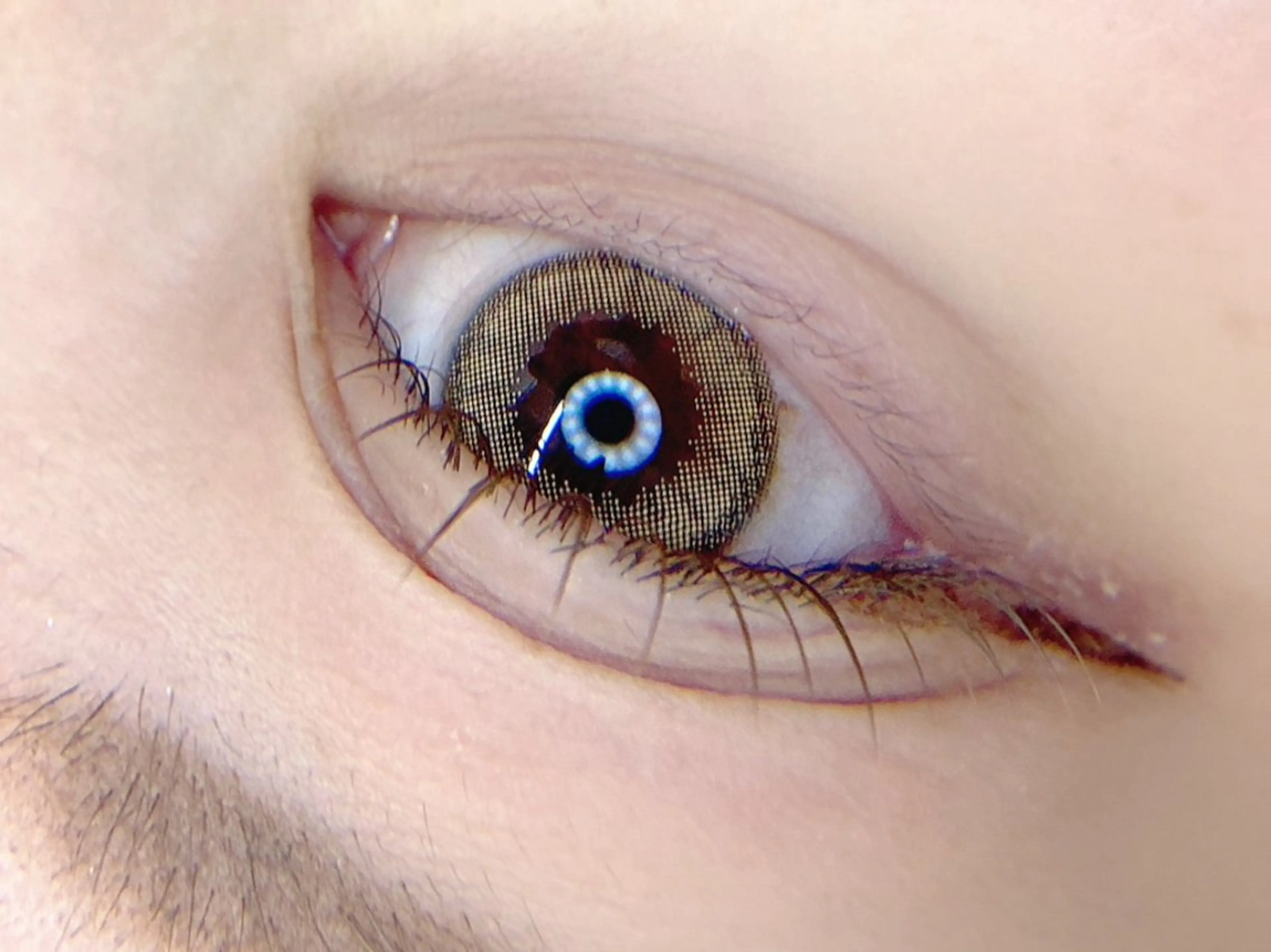 マツエク・マツパ カラーマツエク マツエク tomte トムテのマツエク・マツパデザイン