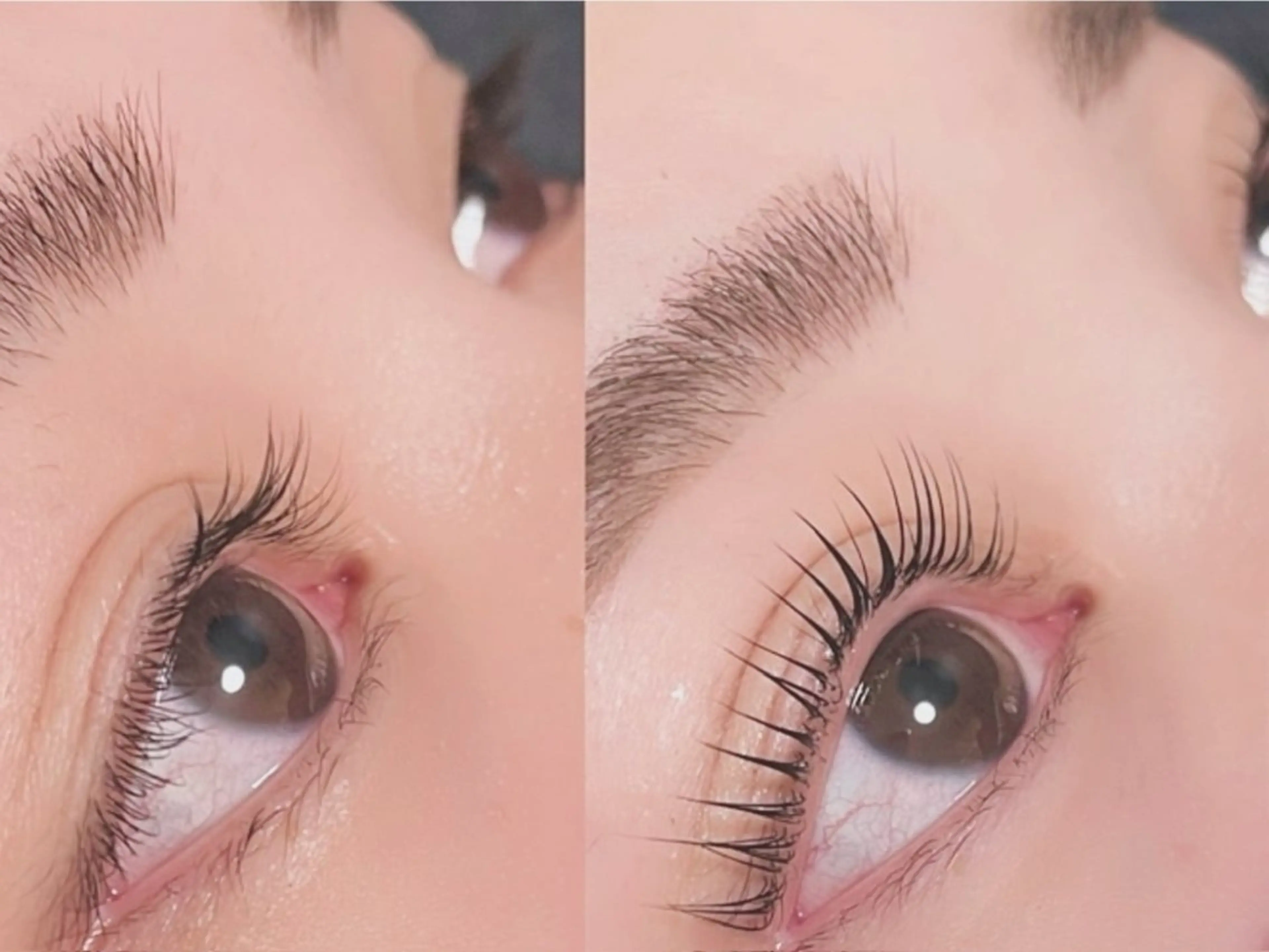 【ミニモ限定】パリジェンヌリフト+高濃度トリートメントケア付き(コーティング付き)上のみの写真