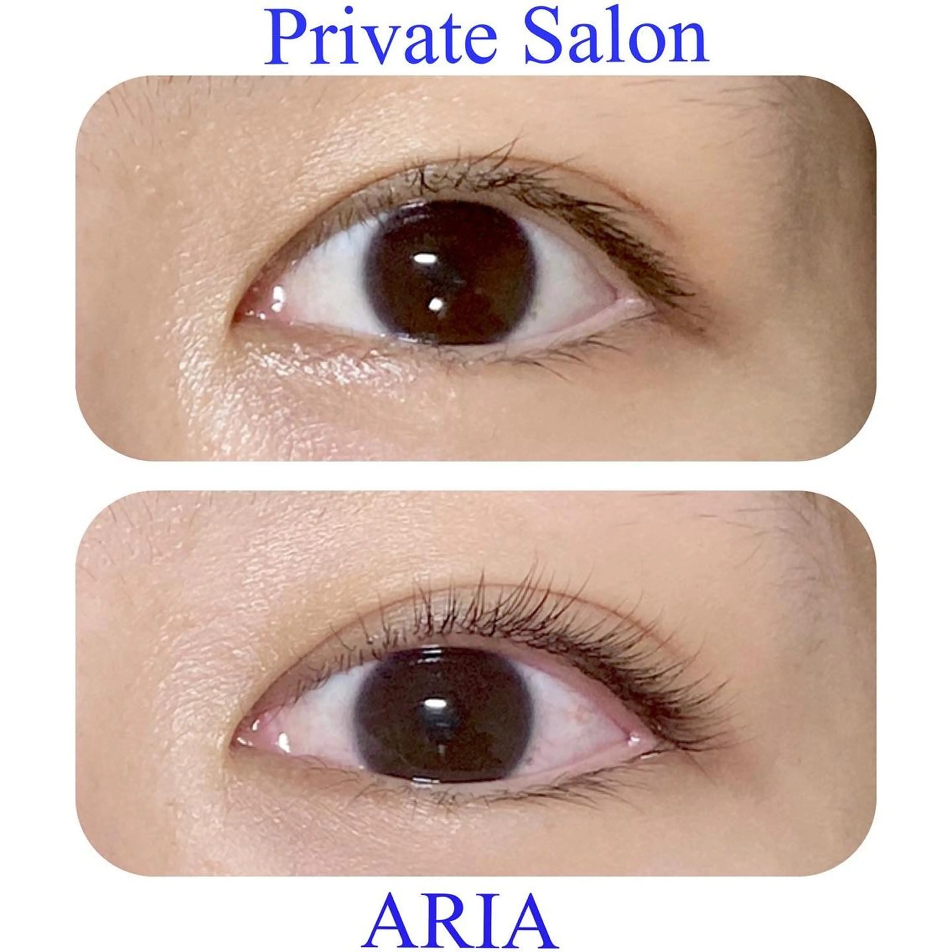 ✨まつげパーマ✨トリートメント付✨根元からしっかり、自然なカールお1人お1人に合わせた施術をいたしますの写真