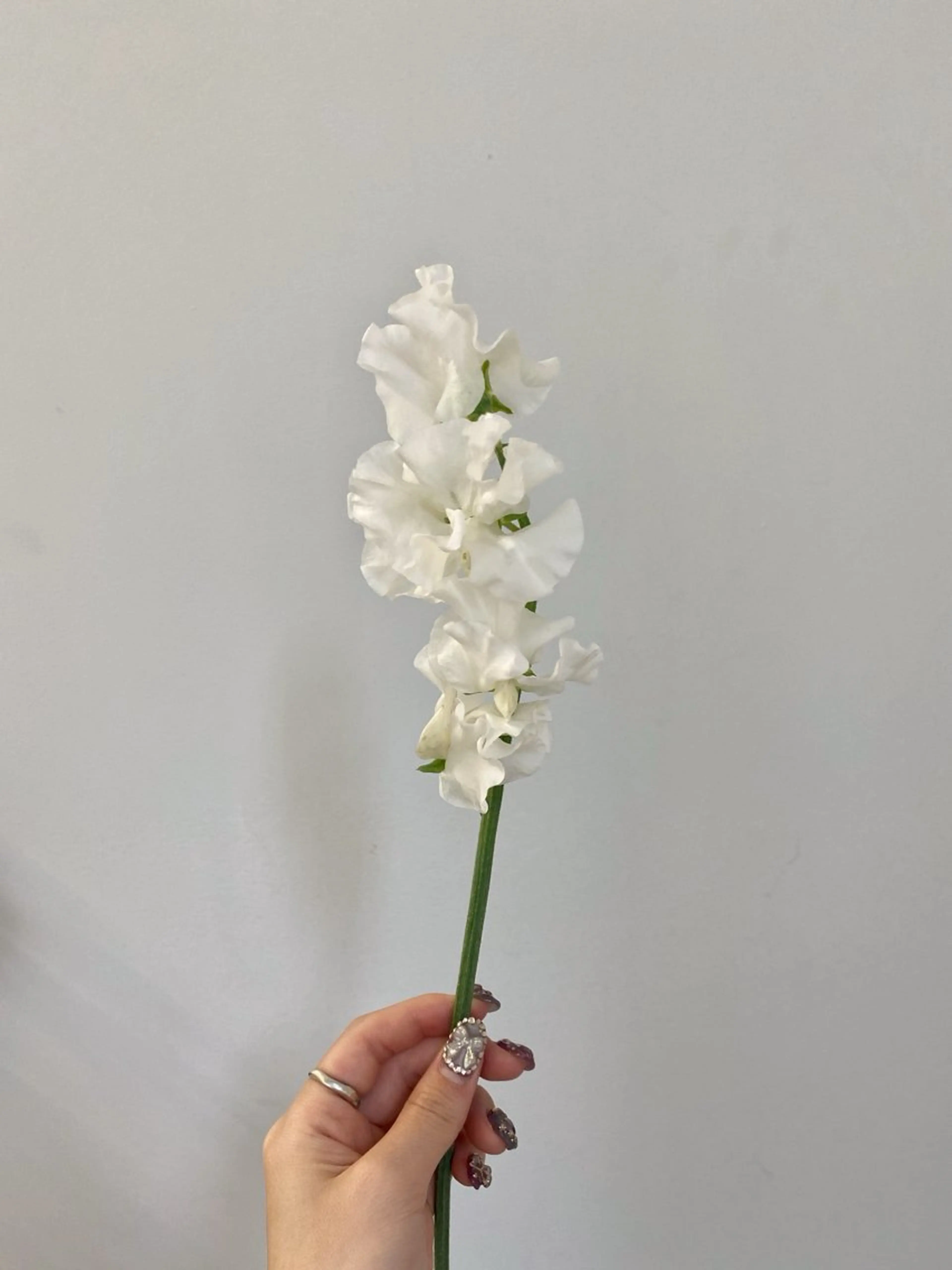 カット ヘアカラー トリートメント 🌻花屋併設🌻濱 幸帆のヘアスタイル