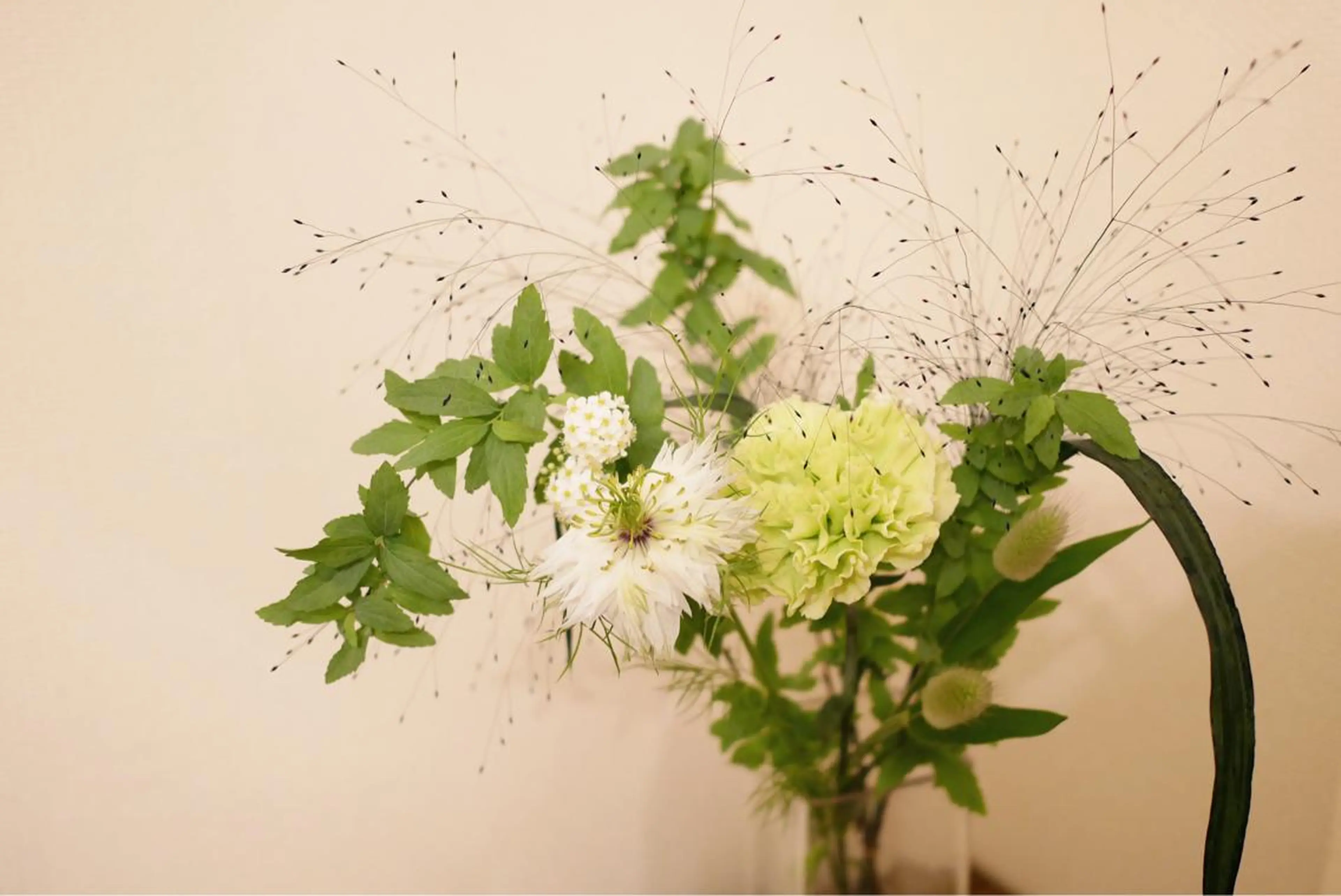 ミディアム カラー パーマ ヘアアレンジ メンズ キッズ ネイル マツエク・マツパ 卒業式のヘアスタイル 卒業式 ニキビ跡専門サロン Ａｉｎａのエステ・リラクイメージ