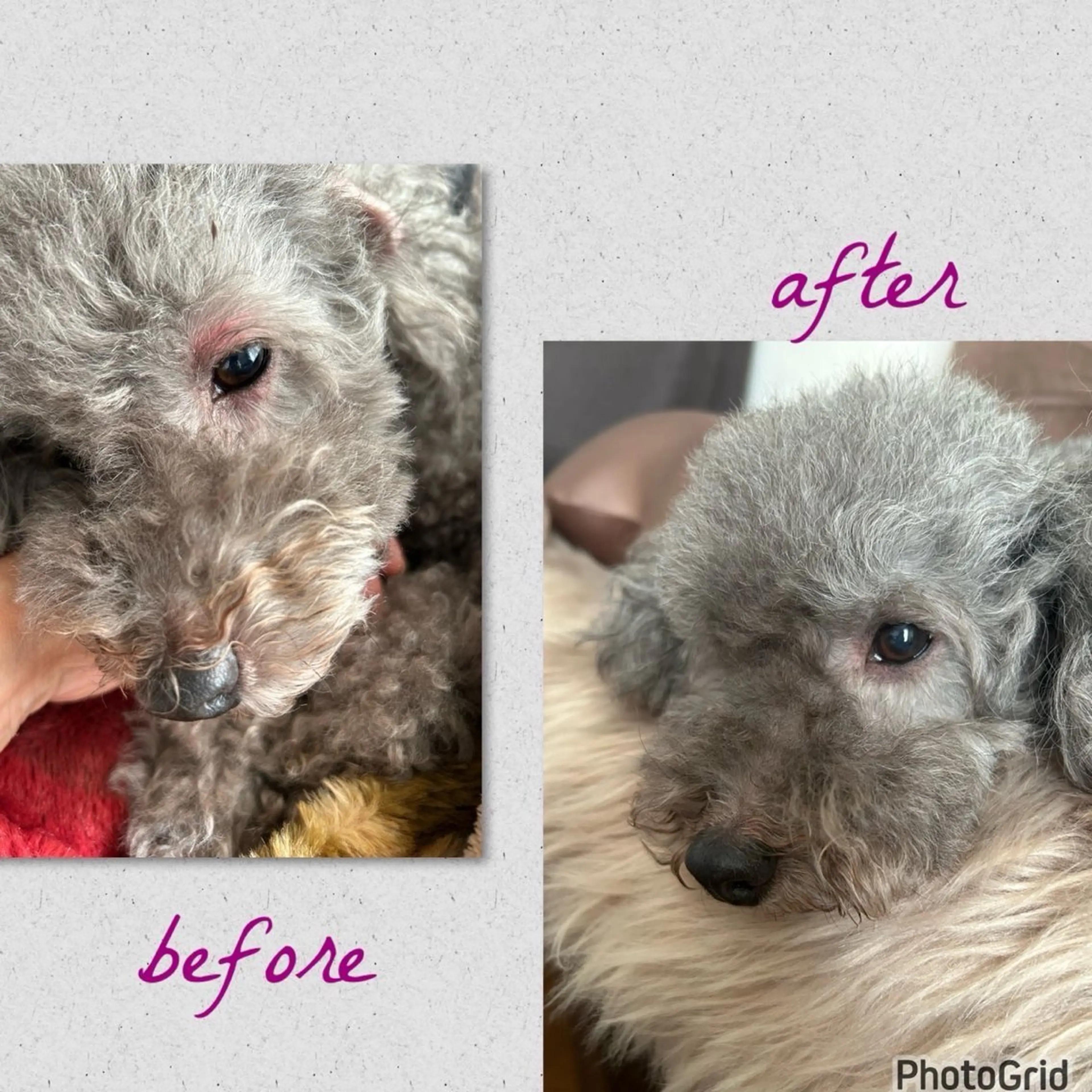 温活サロン CARNAのエステ・リラクイメージ