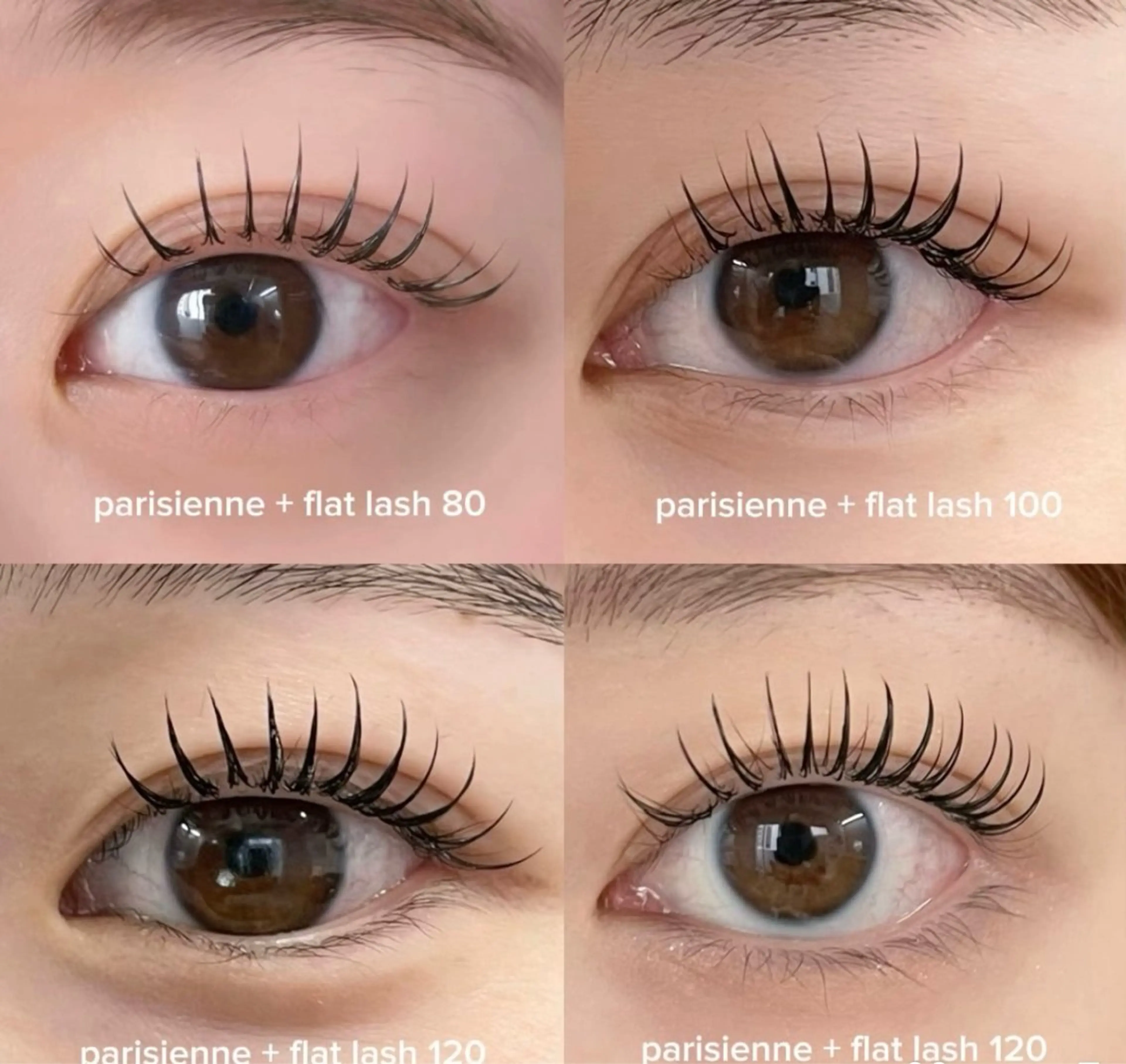 🍁New メニューパリエク🍁パリ+高級フラットラッシュ80本+アイシャンブー＋アイパック+コーティング付きの写真