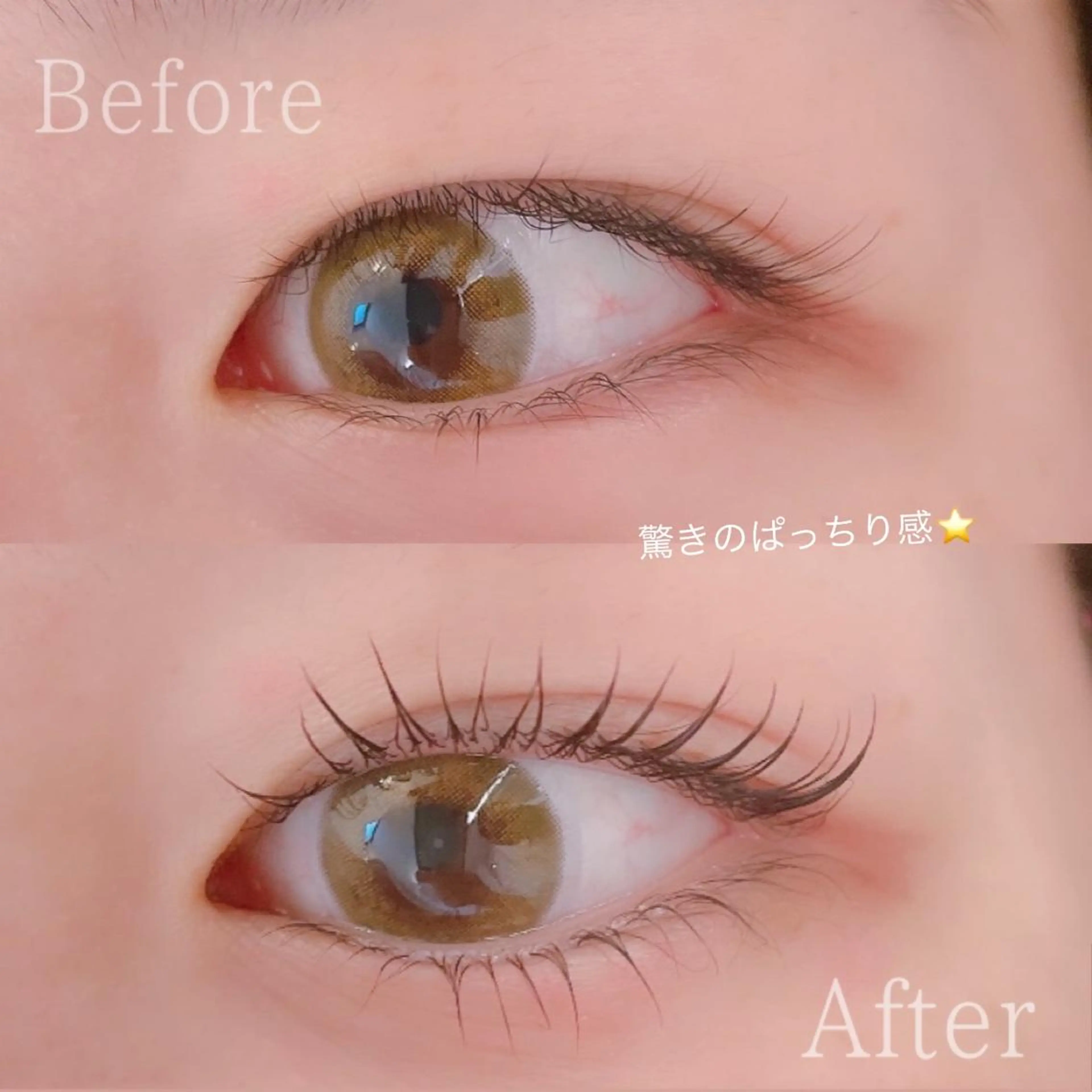 マツエク・マツパ 下まつげエクステ 一重×まつ毛パーマ Sylph　井関 唯のマツエク・マツパデザイン