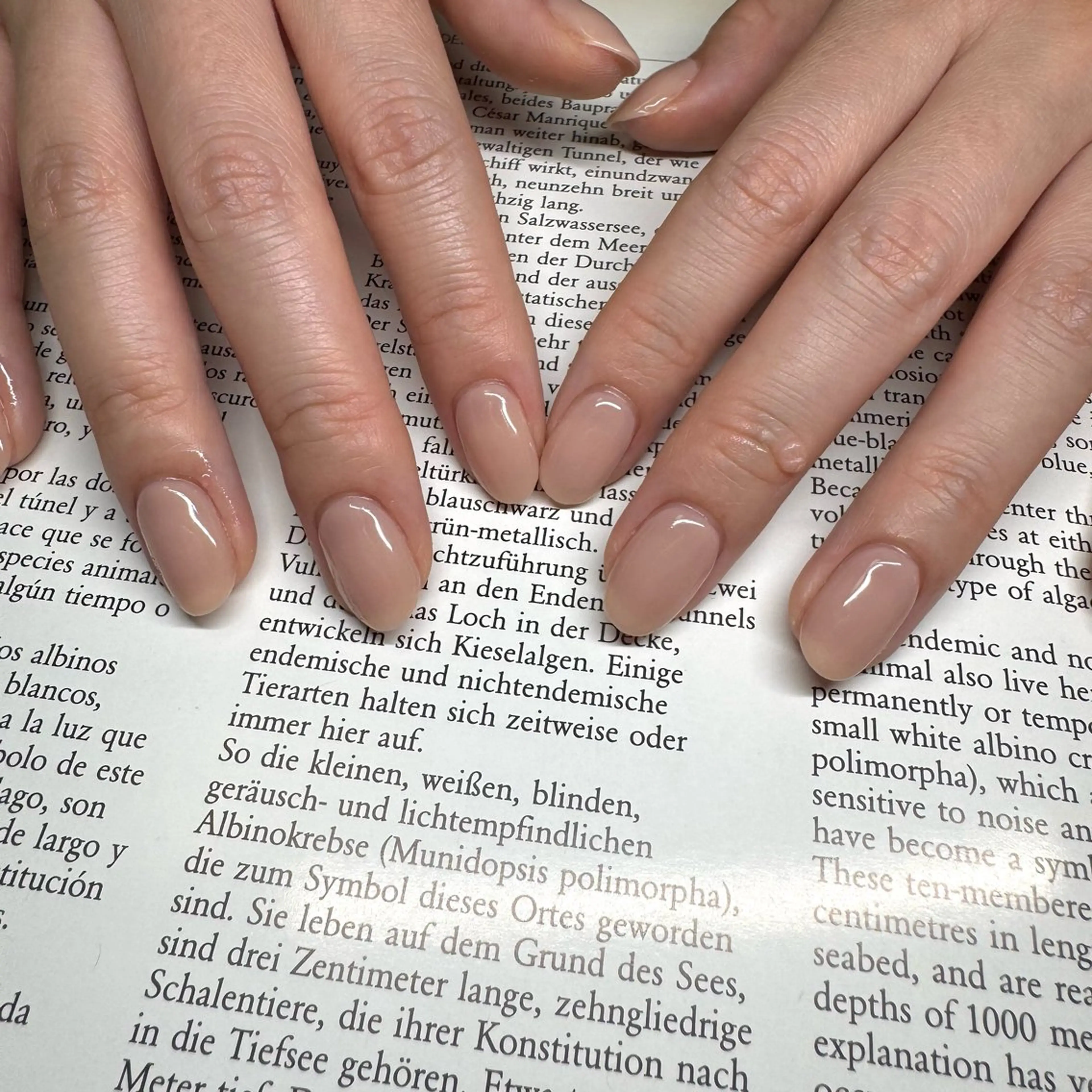 ネイル ハンドネイル lulularico aiのネイルデザイン