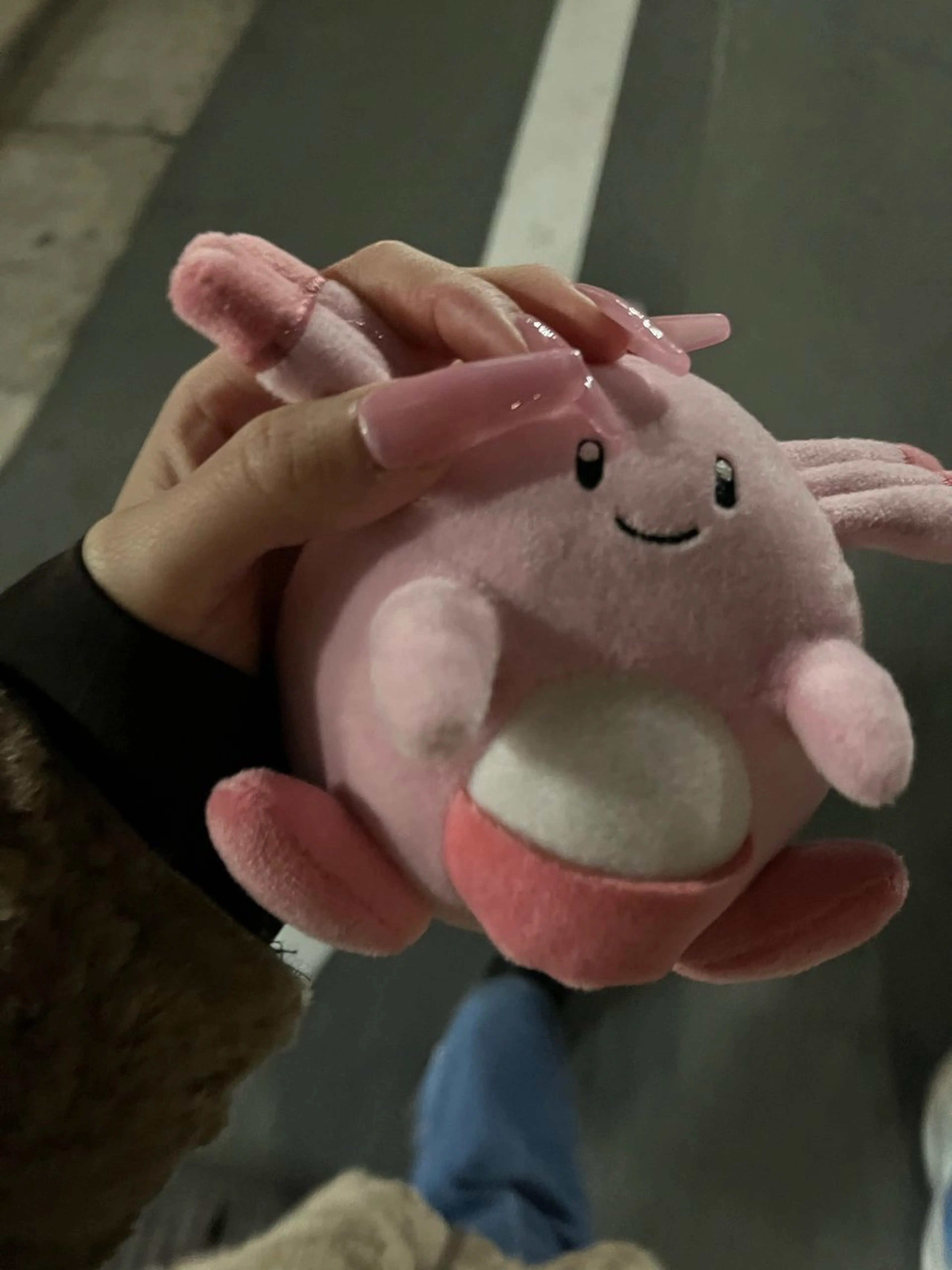 ワンカラーの写真