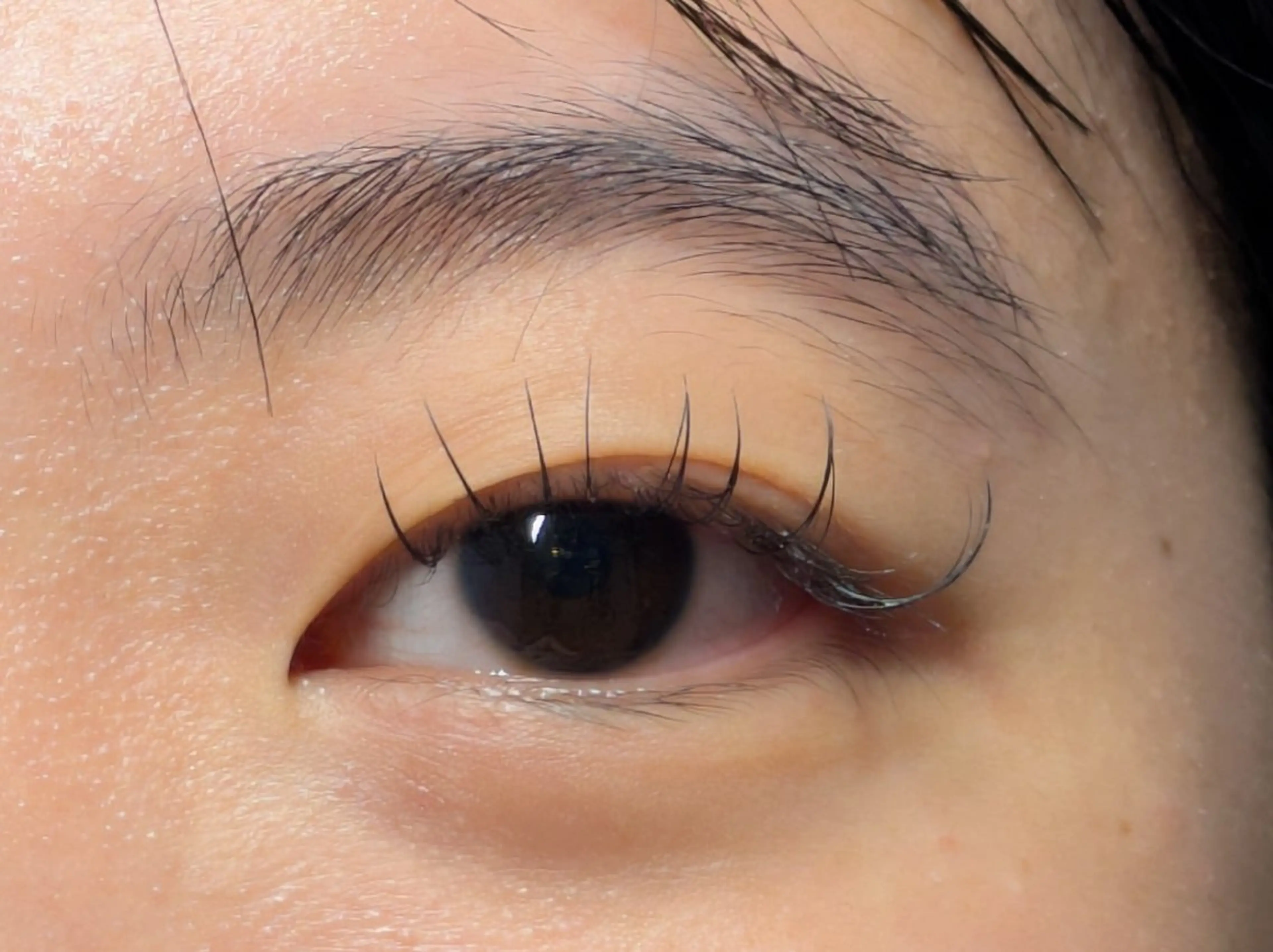 マツエク・マツパ Cカール Sun Brown Ryu-gaのマツエク・マツパデザイン