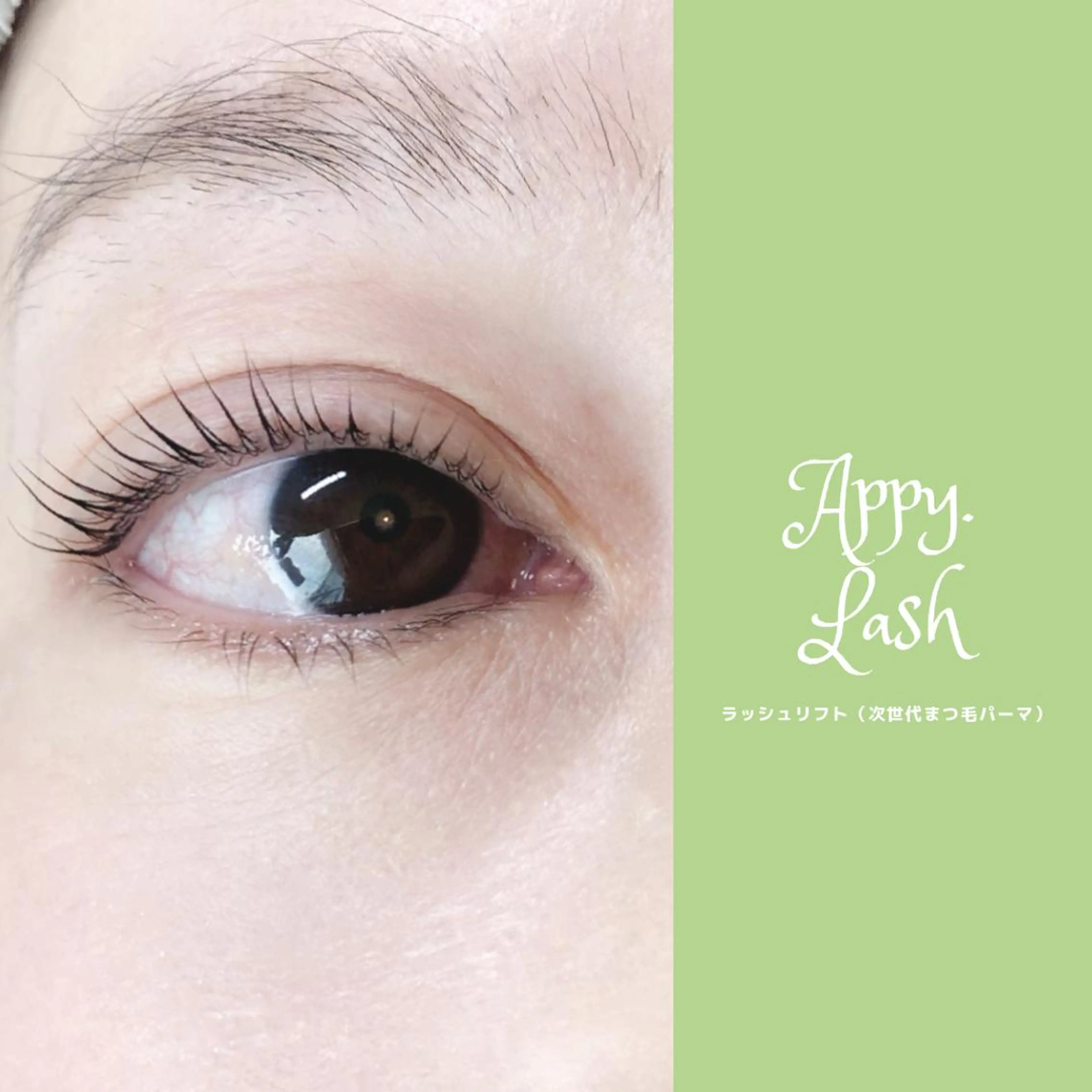 マツエク・マツパ フラットラッシュ ナチュラル パリジェンヌラッシュリフト まつげパーマ ボリュームラッシュ まつげと眉の専門店 Appy.Lashのマツエク・マツパデザイン