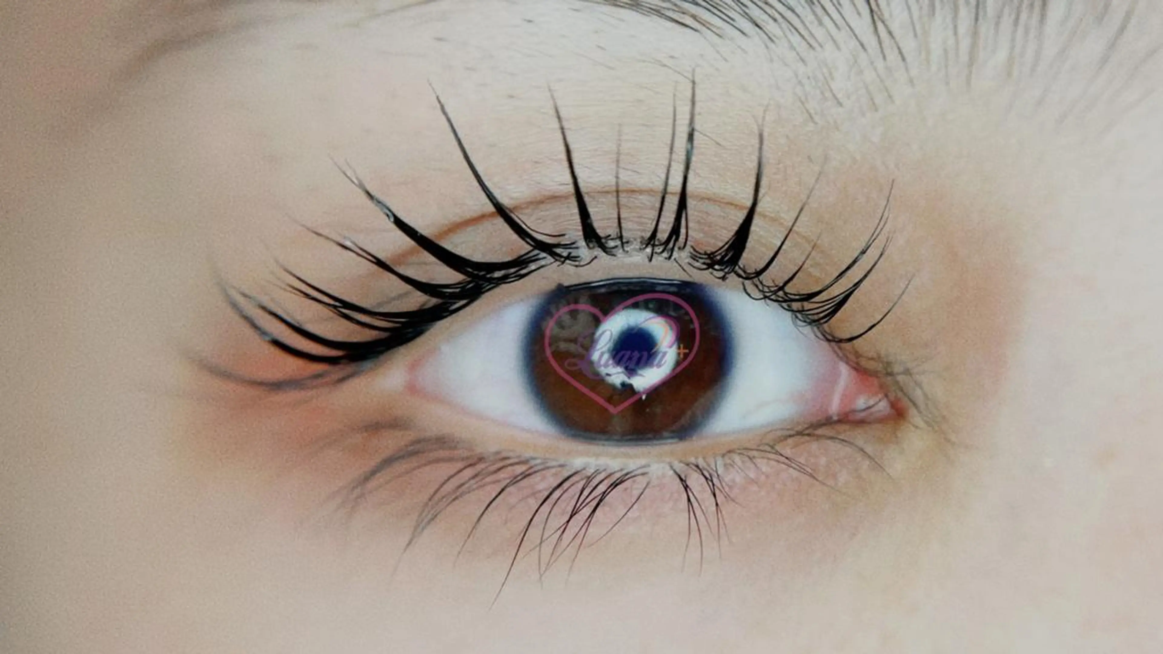 ラッシュリフト上下　💖似合わせパーマ💖の写真