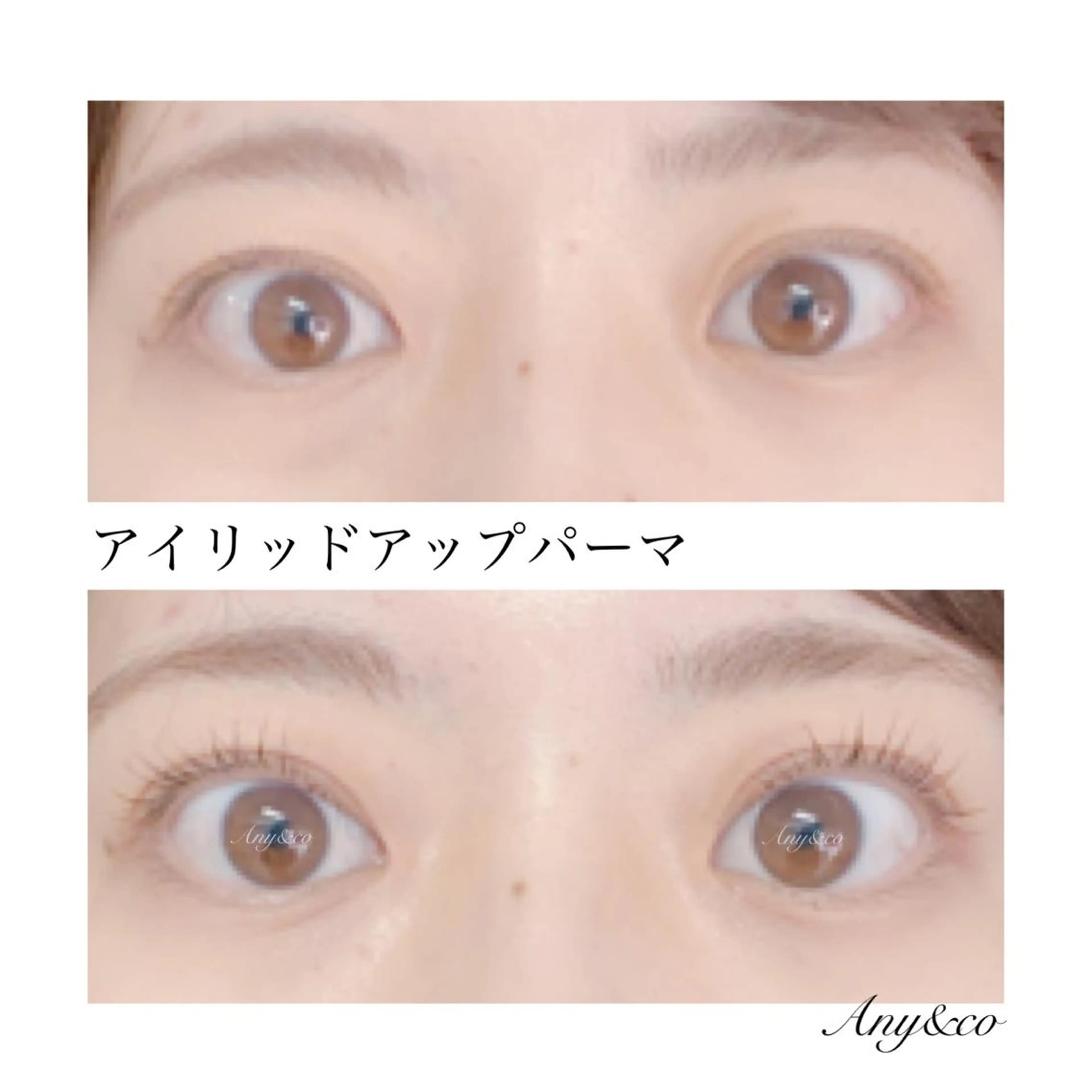 マツエク・マツパ アイリッドアップパーマ Any&co 【エニコ】のマツエク・マツパデザイン