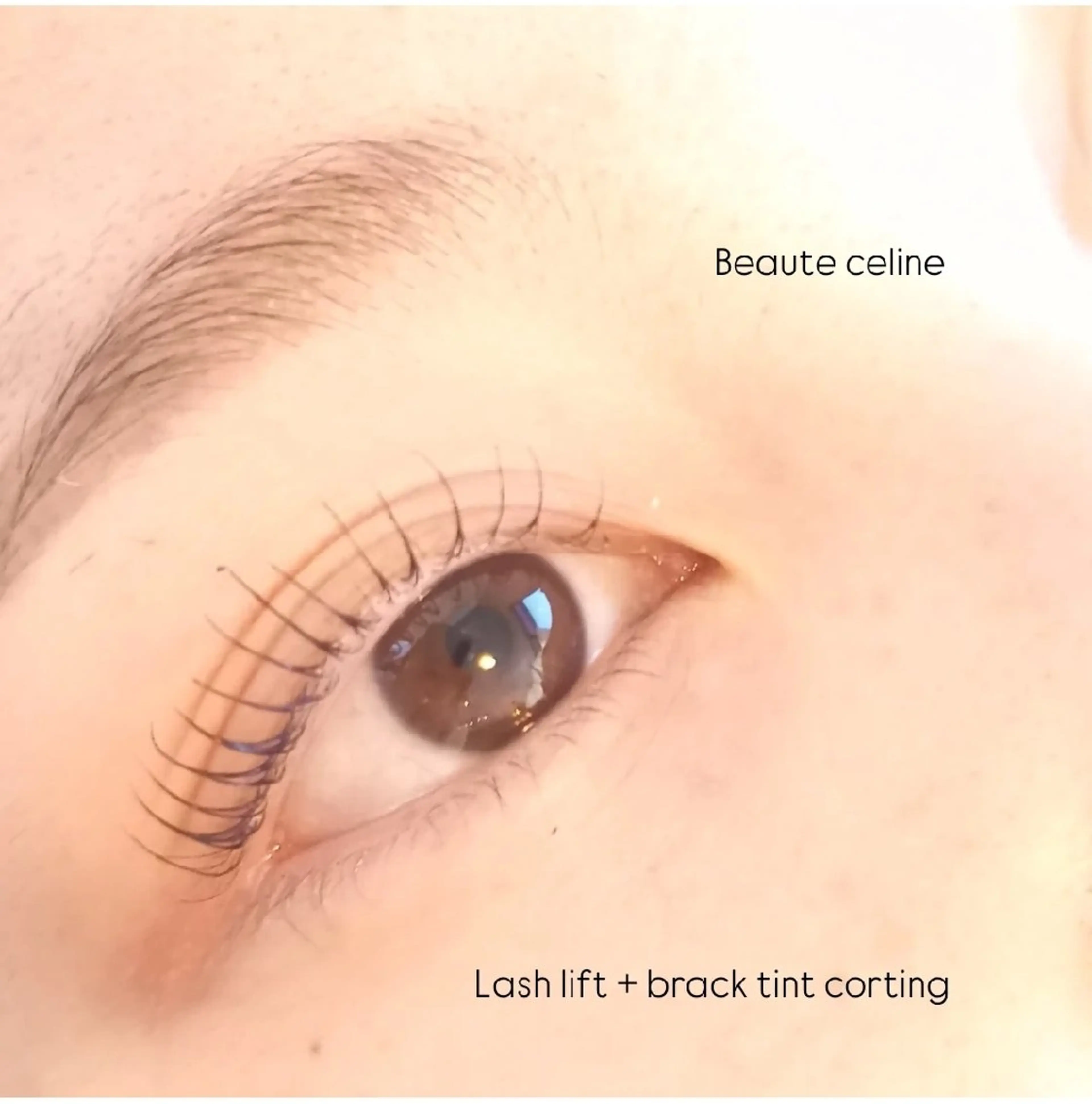 マツエク・マツパ マツパ beaute.celine所属・8時~✨beaute Celine🌛🌹のマツエク・マツパデザイン