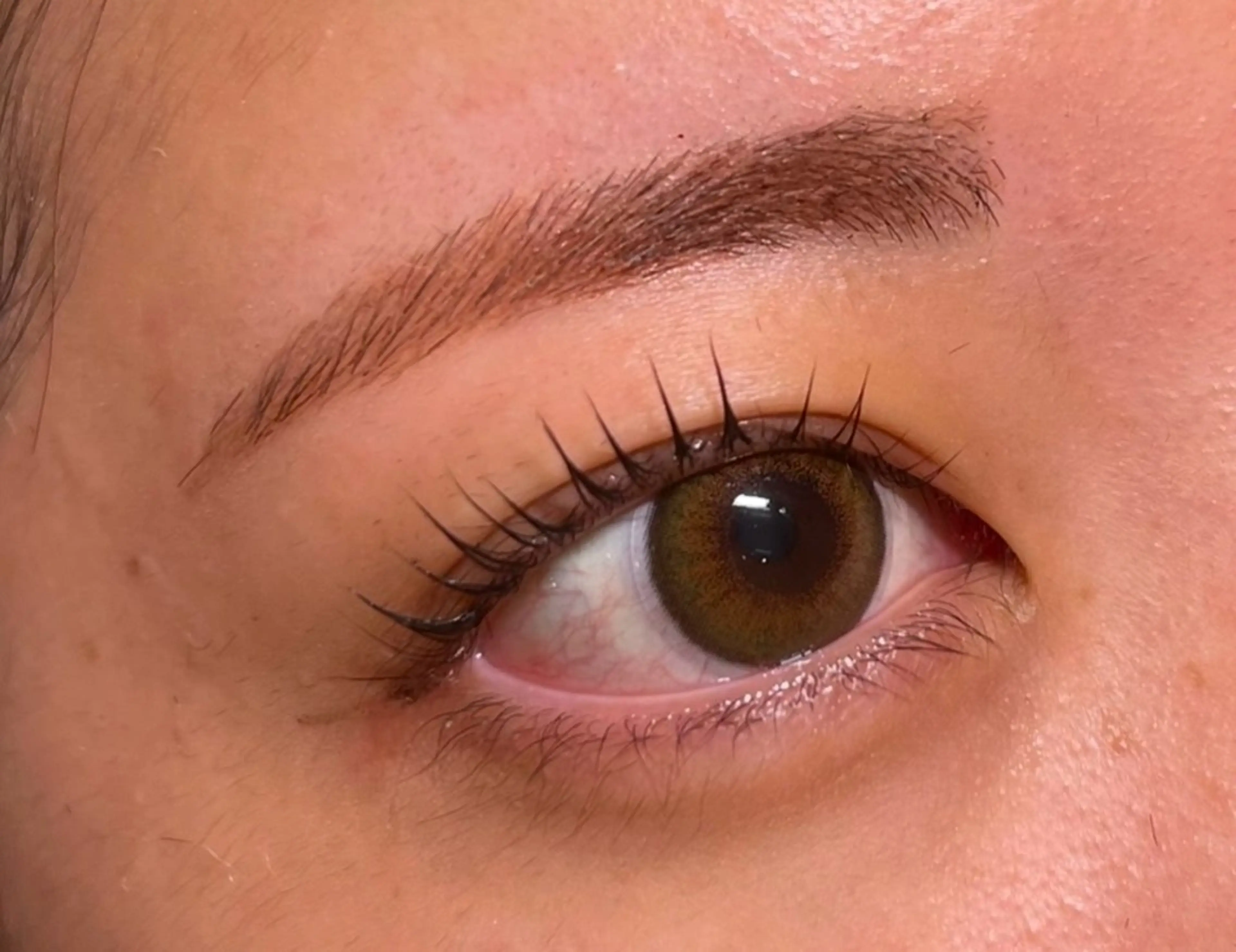 マツエク・マツパ カットモデル様 募集中のヘアスタイル