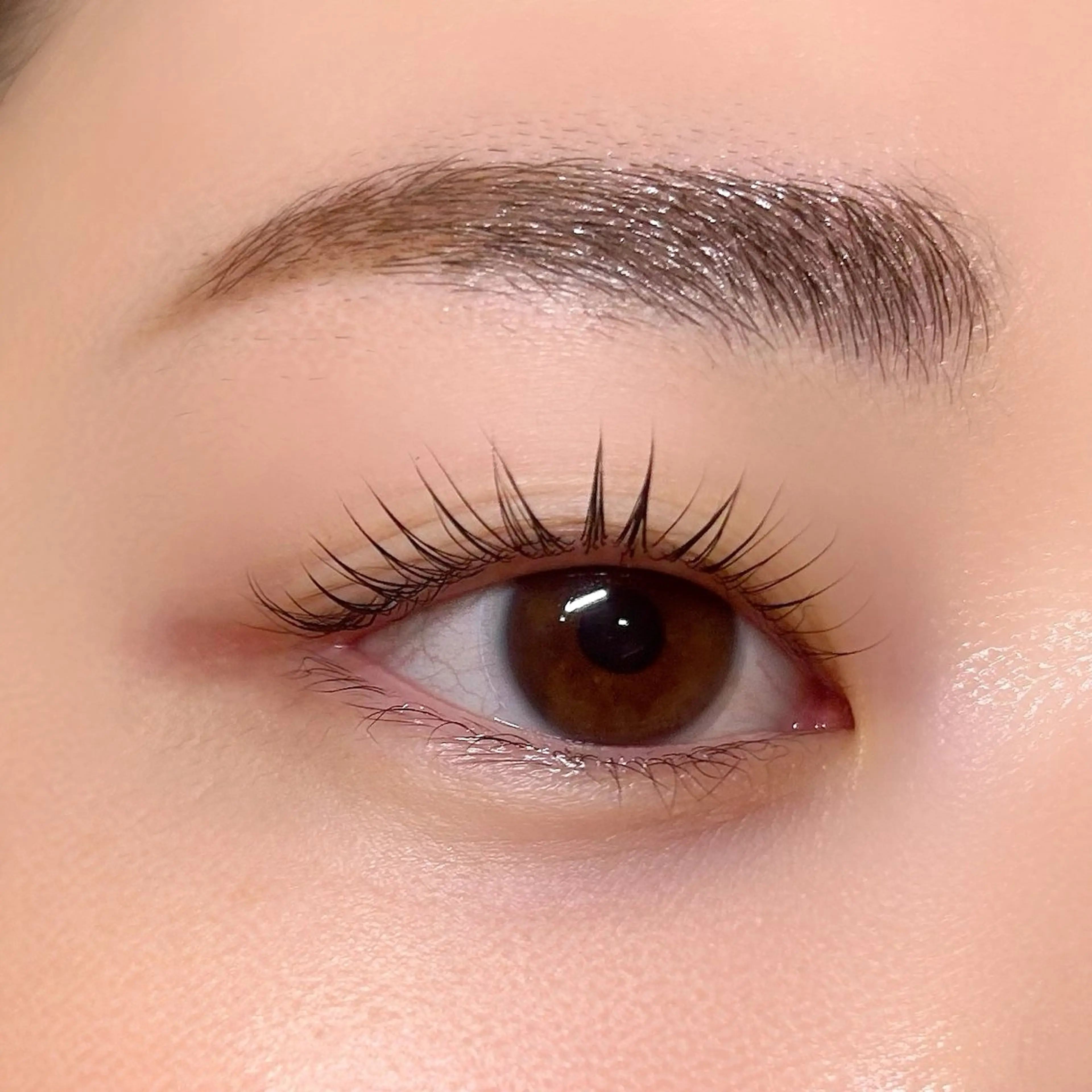 マツエク・マツパ 🌸アイリスト fujiwara🌸のマツエク・マツパデザイン