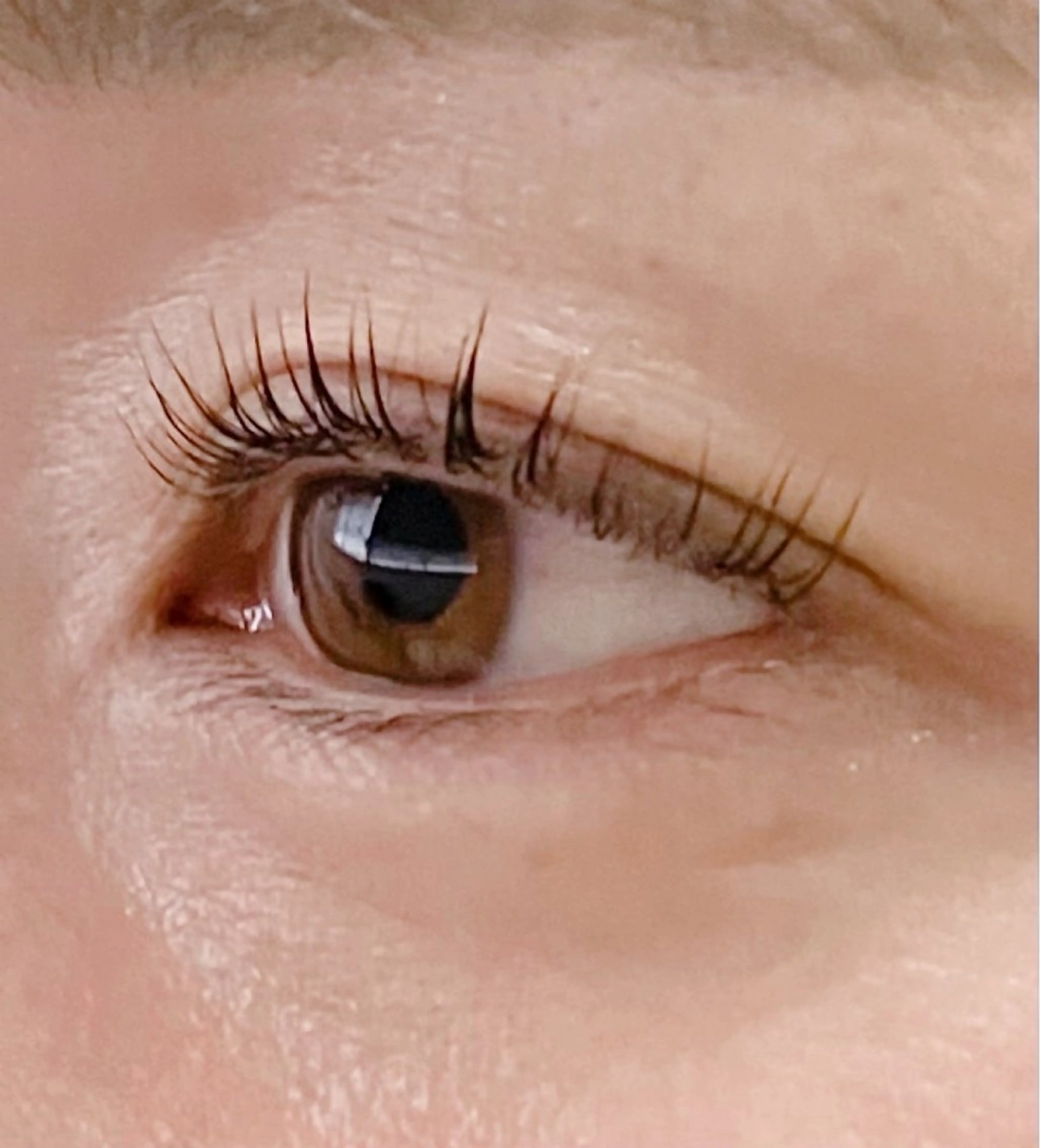 マツエク・マツパ マツパ フルリ fleuriのマツエク・マツパデザイン