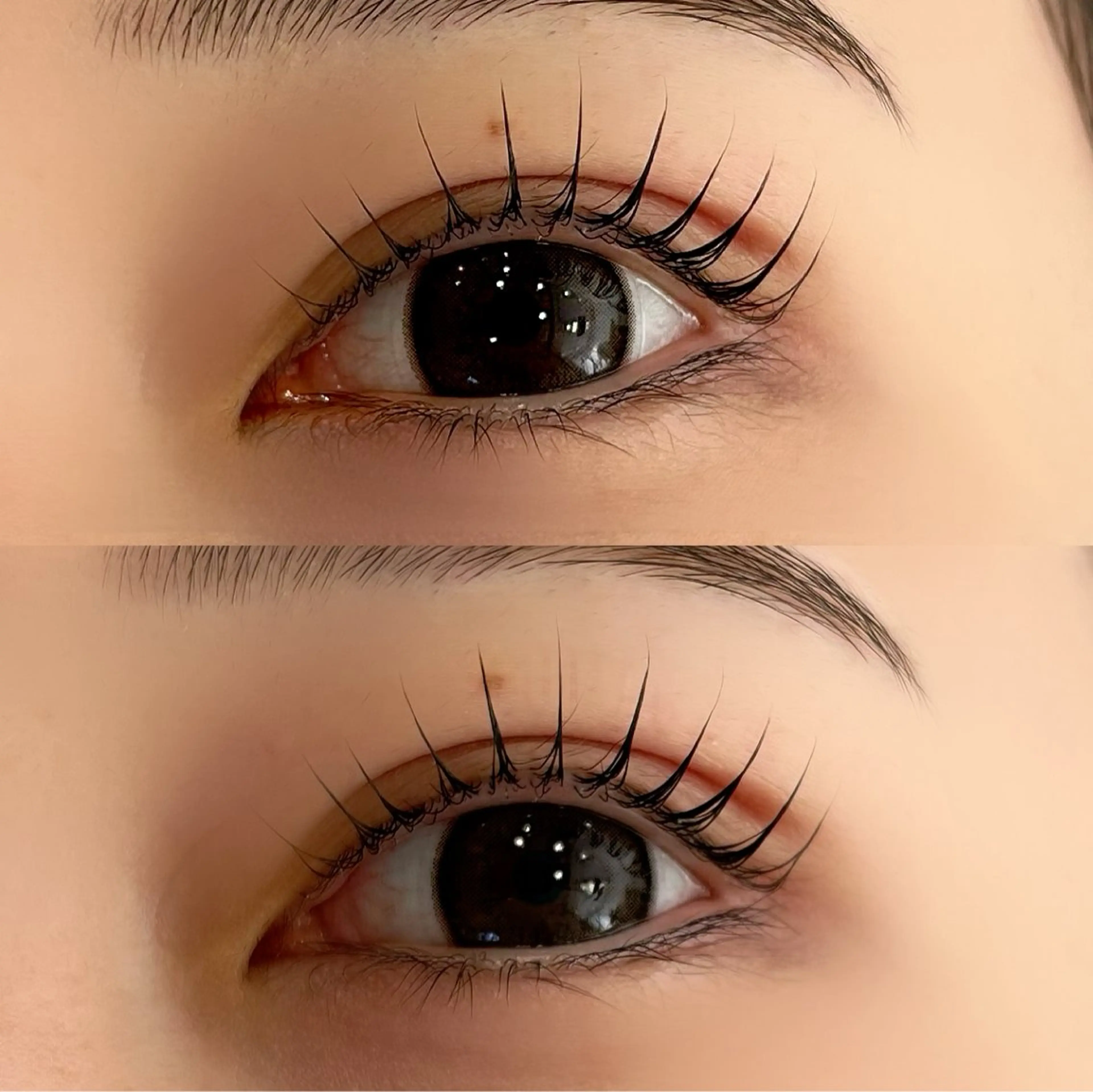 [minimo限定価格]☘️パリジェンヌラッシュリフト☘️￥4000の写真