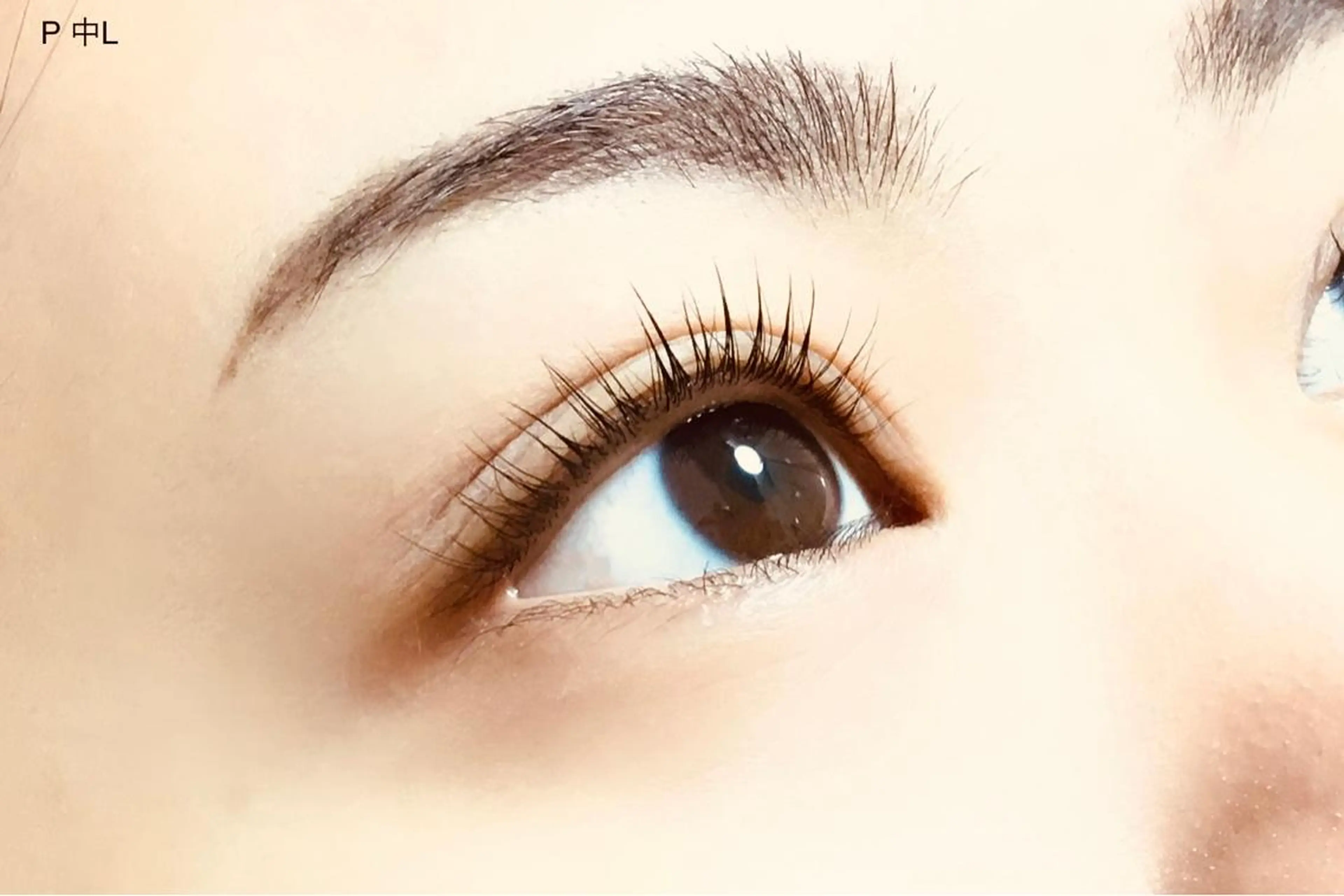 マツエク・マツパ マツエク・マツパ 募集のマツエク・マツパデザイン