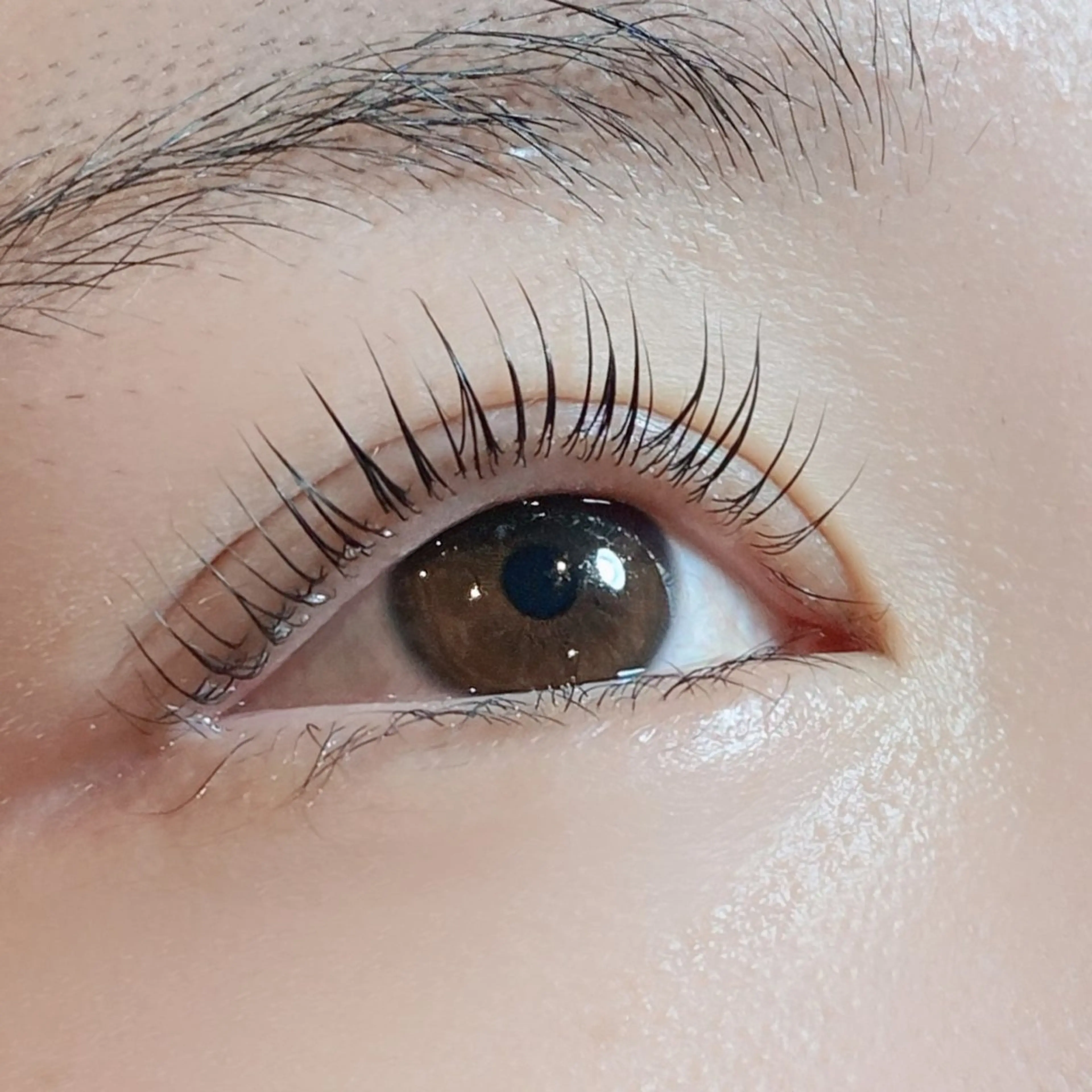 マツエク・マツパ TERRA MATSUZAWAのマツエク・マツパデザイン