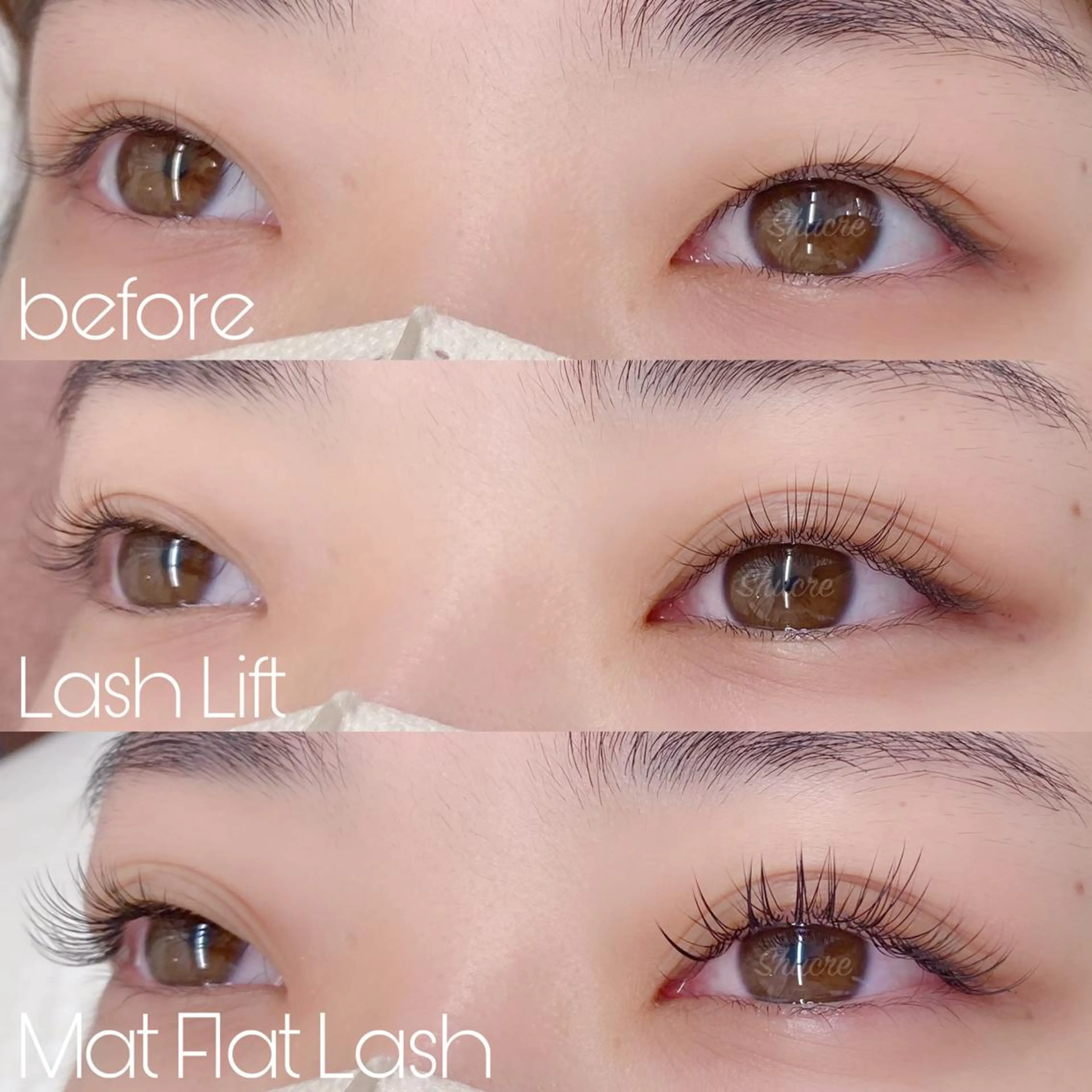 マツエク・マツパ Shucre栄店🤍 Rikaのマツエク・マツパデザイン