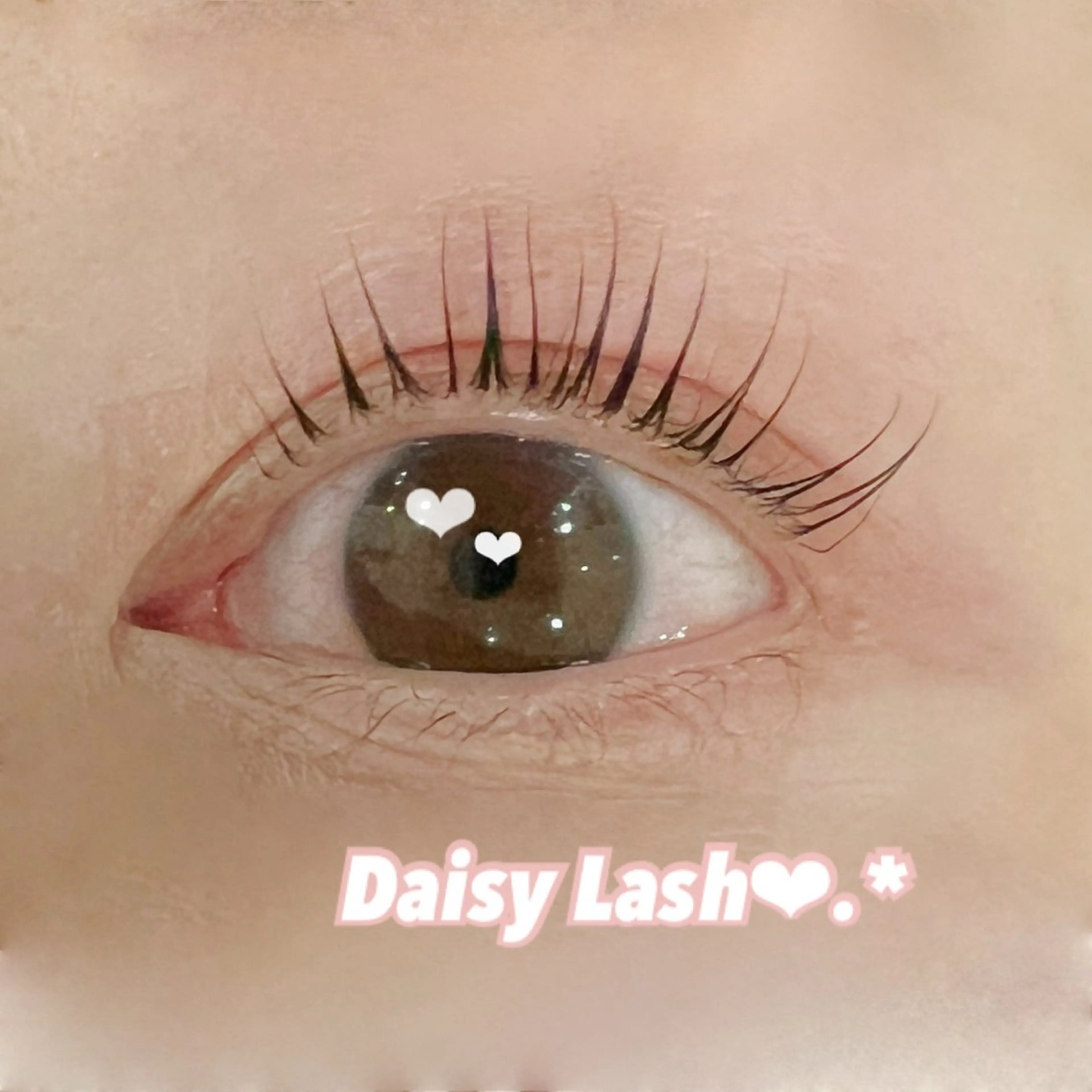 ❤︎.*オフなし／まつ毛パーマ無料モデル🐈‍⬛🤍の写真