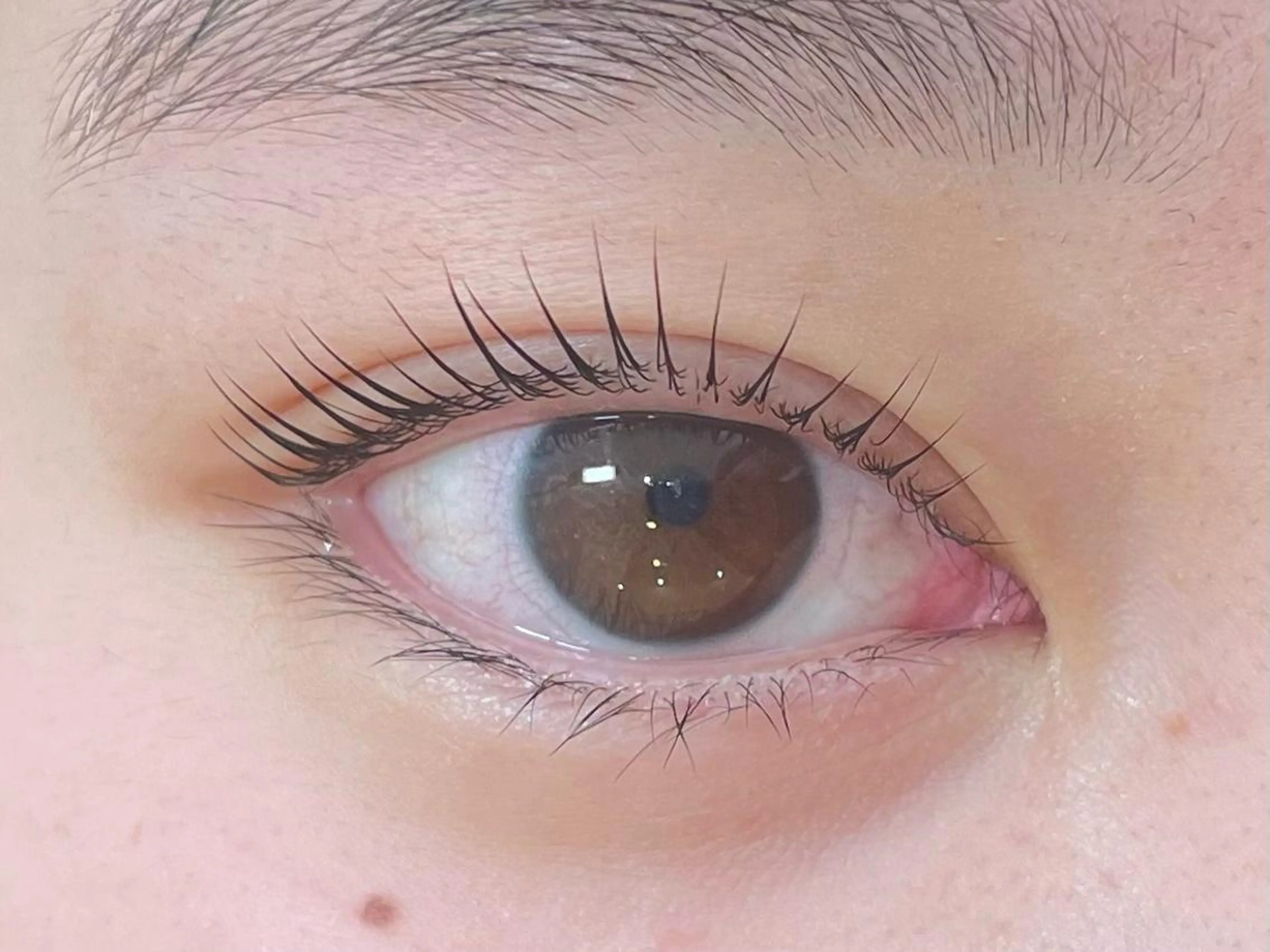 マツエク・マツパ パリジェンヌラッシュリフト anela MOMOKA🎀のマツエク・マツパデザイン