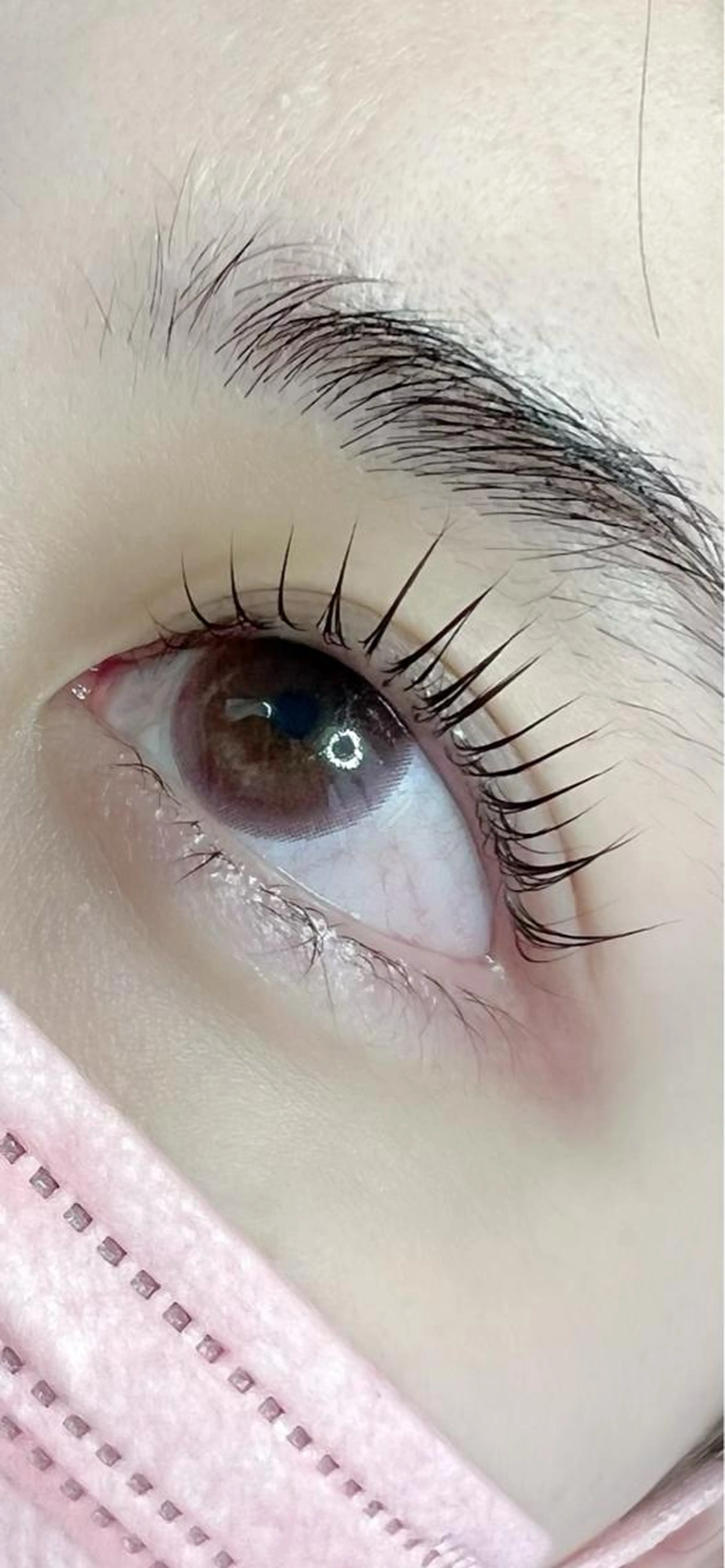 ご新規様限定平日のみパリジェンヌラッシュリフト♡の写真