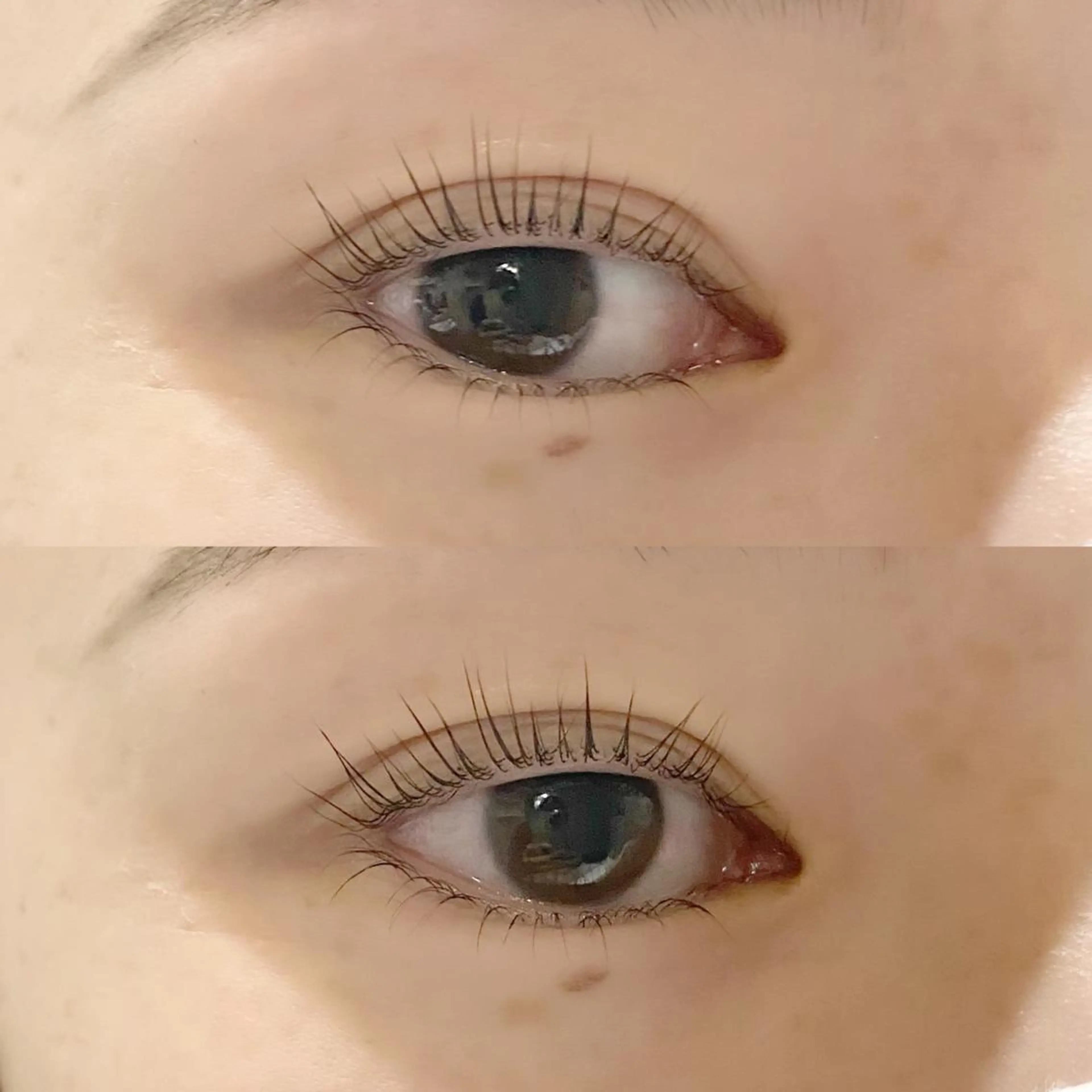 マツエク・マツパ パリジェンヌラッシュリフト 下まつげエクステ 一重×まつ毛パーマ eyelash "Koa"🕊🤎のマツエク・マツパデザイン