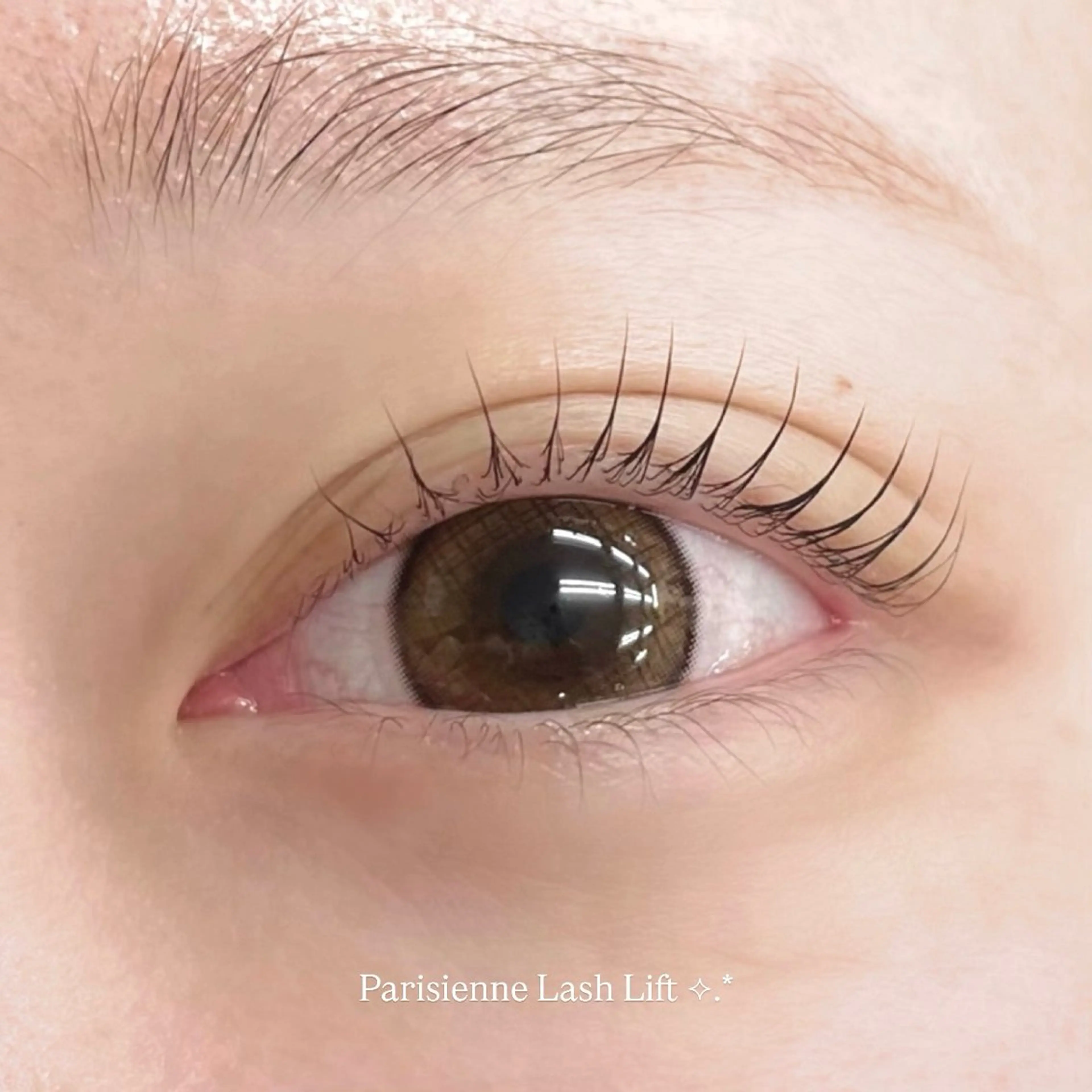 マツエク・マツパ EYELA🪄︎︎ 𝙨𝙚𝙞𝙧𝙖のマツエク・マツパデザイン