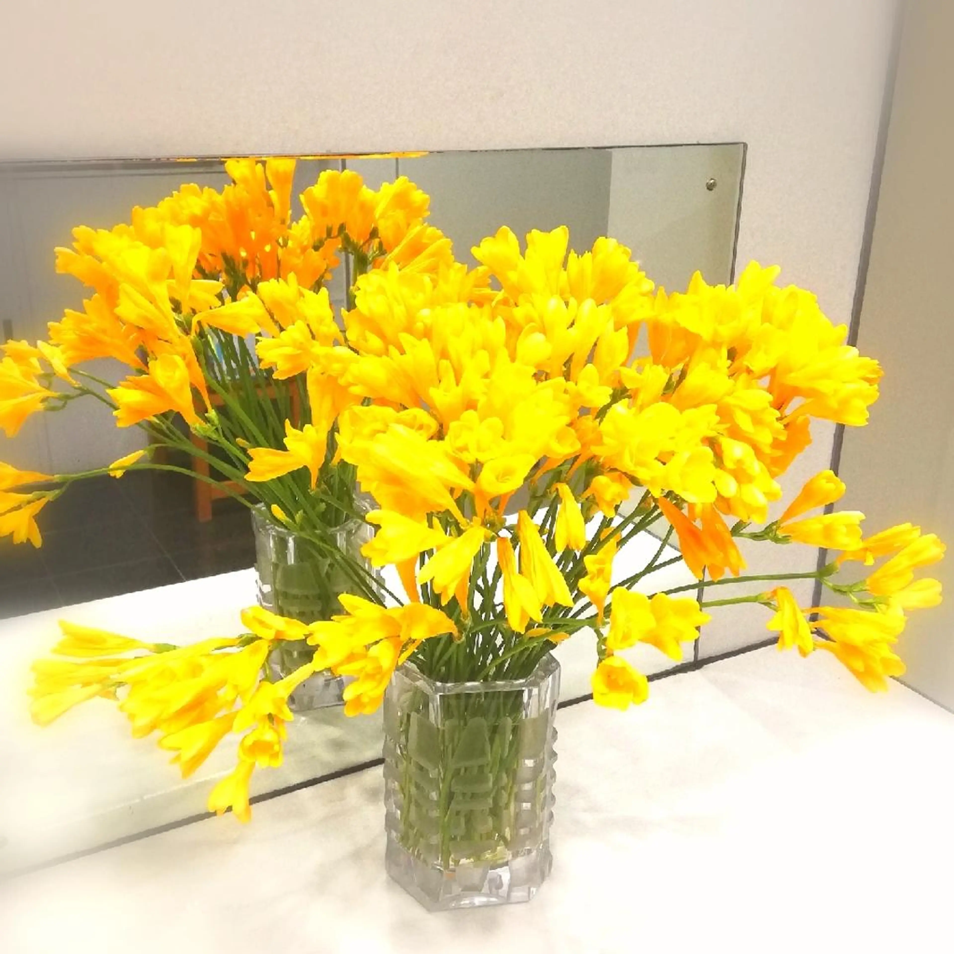 angelux 所属・完全個室サロン🌹 angelux🌹のマツエク・マツパデザイン