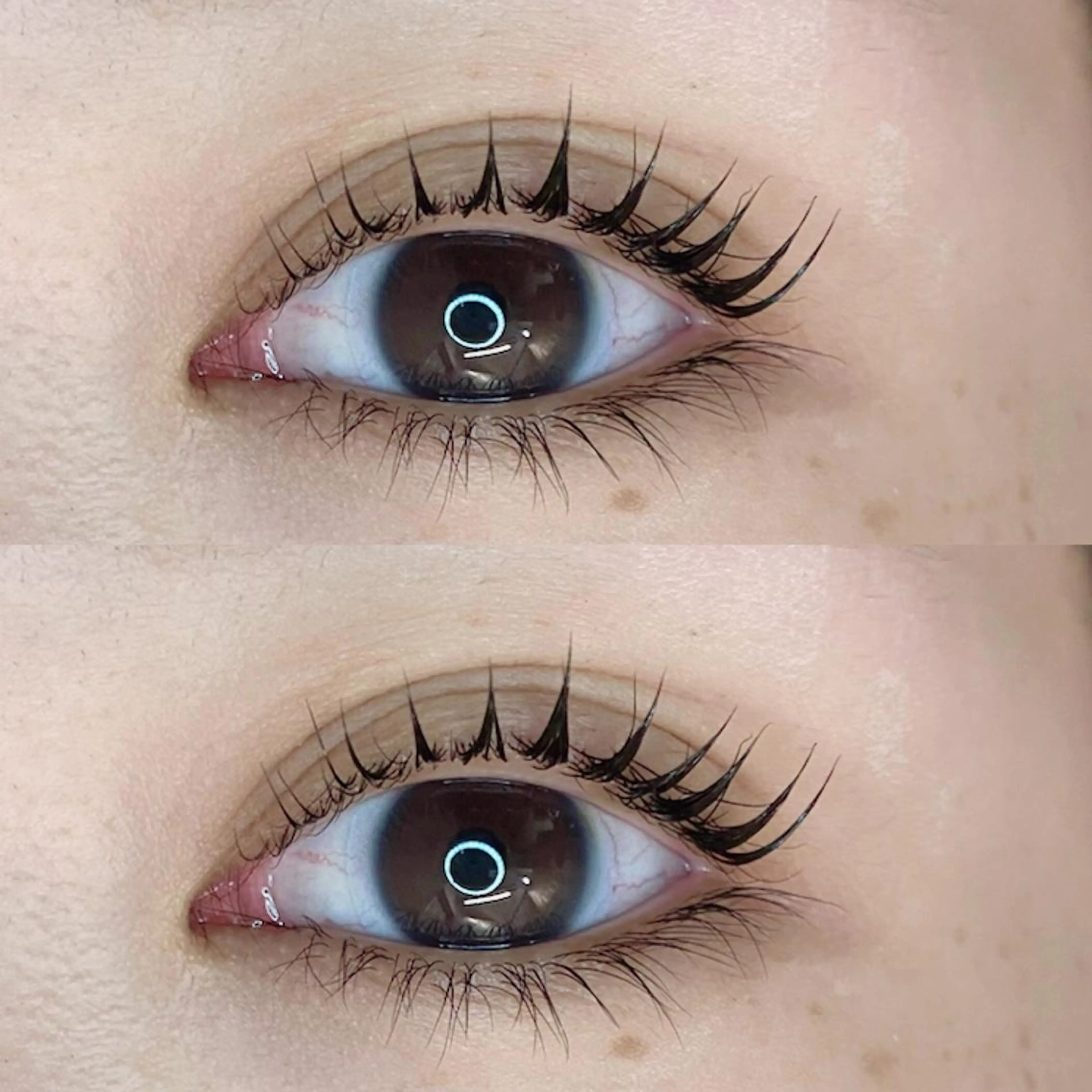 マツエク・マツパ Favori 川上のマツエク・マツパデザイン