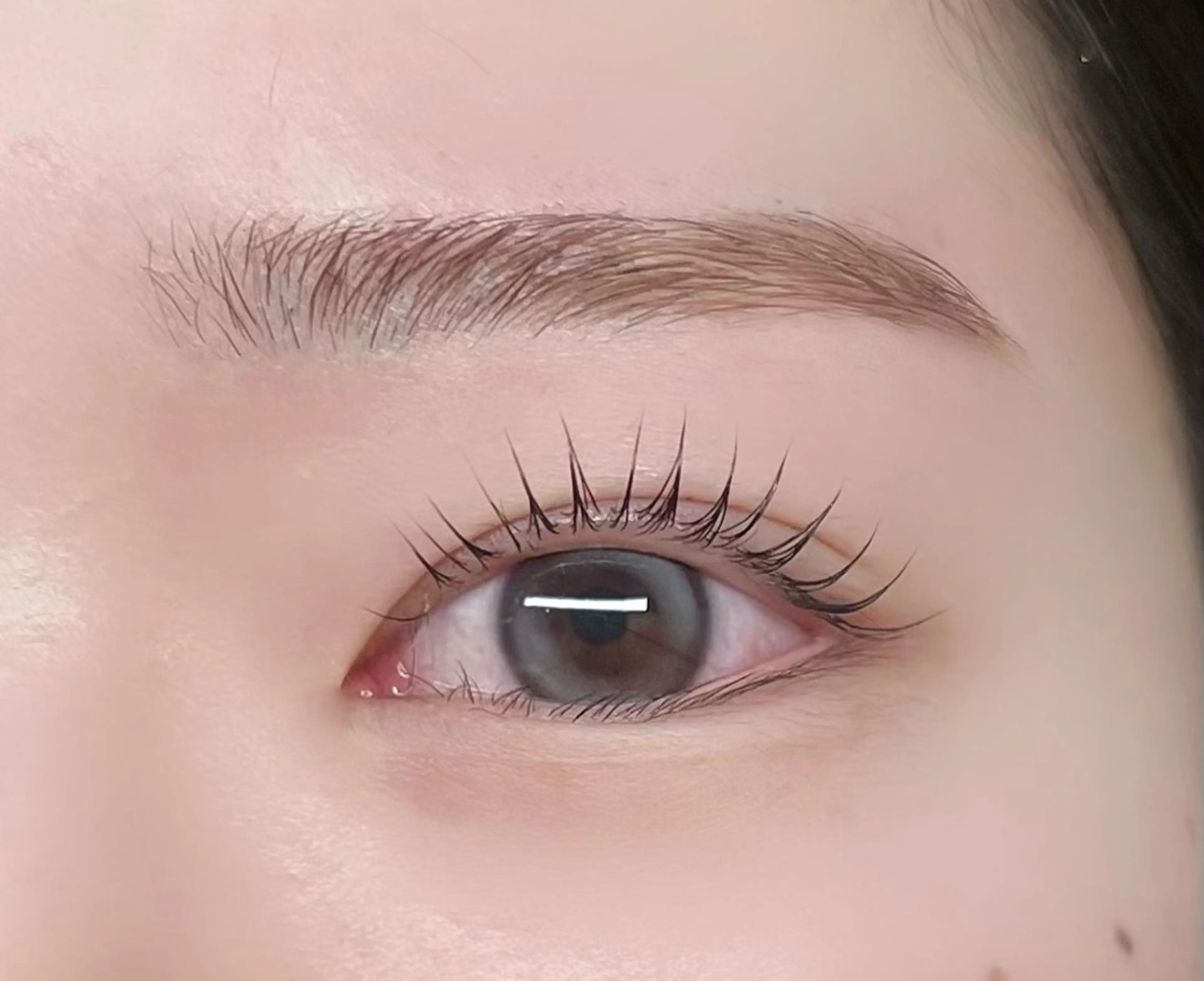 ラッシュリフト（ケラチントリートメント付）+アイブロウワックスセットの写真