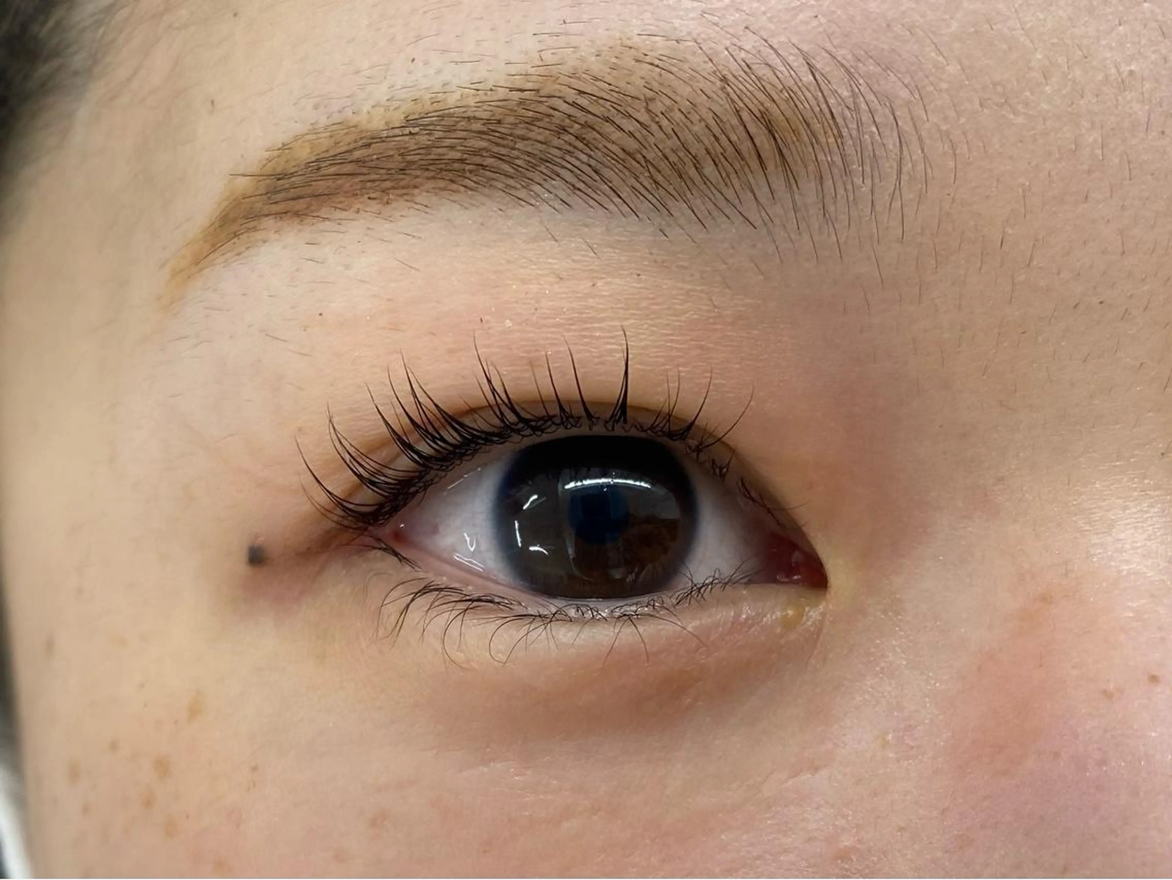 マツエク・マツパ ORO　飯田 早稀のヘアスタイル