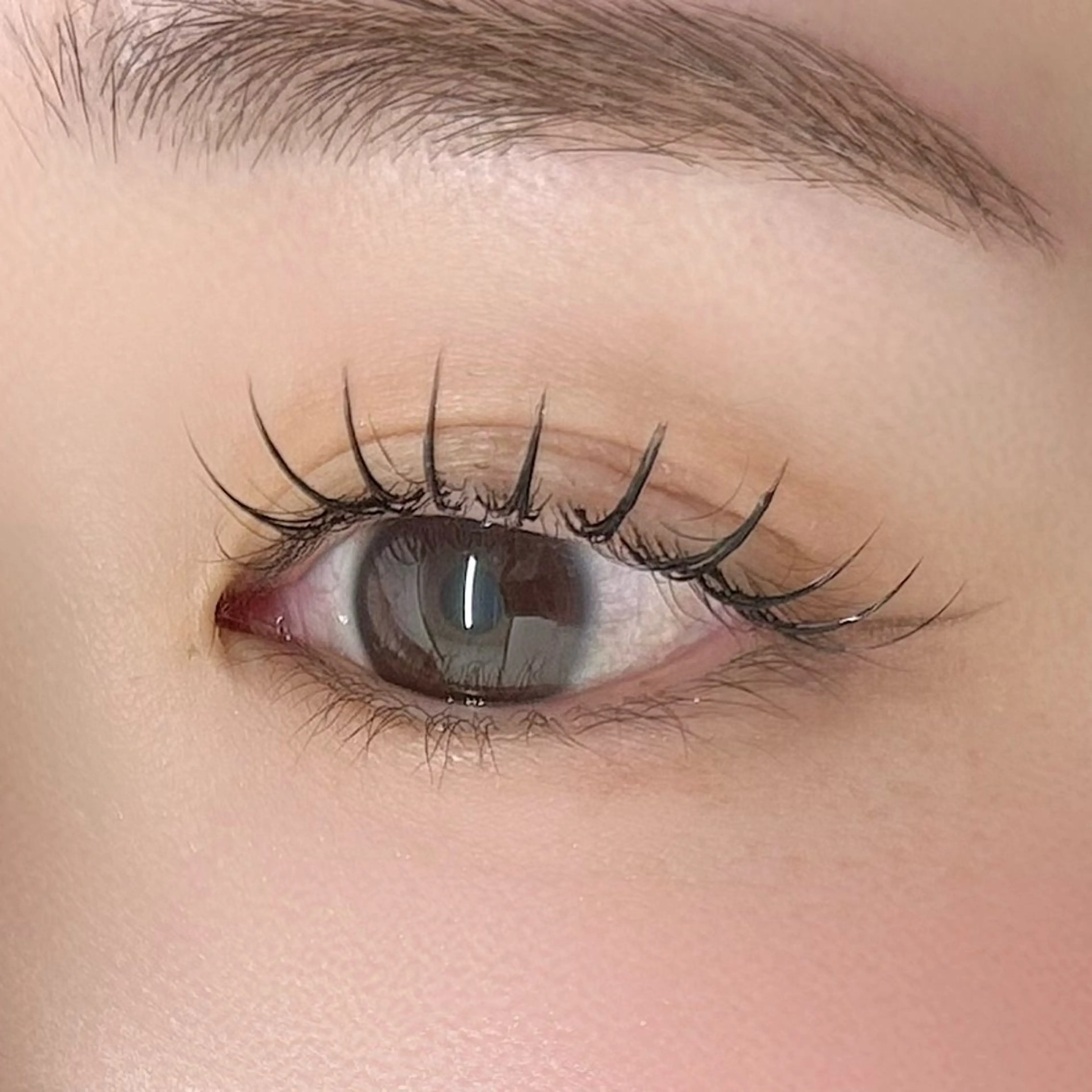 フラットラッシュ 100本𓂃🎀𓈒𓏸¥6800→¥5800┊︎の写真