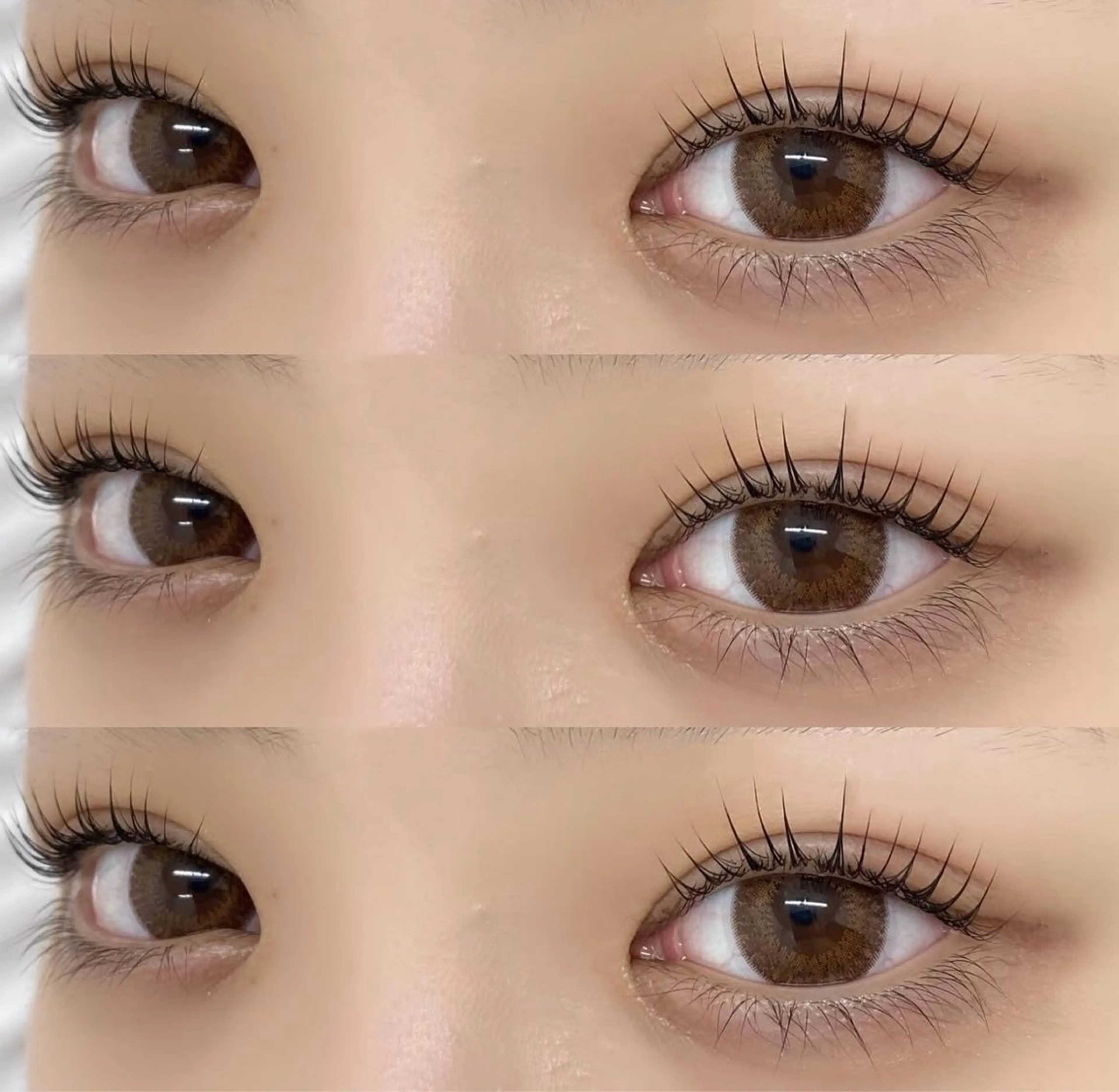 マツエク・マツパ パリジェンヌラッシュリフト MIROH Komugiの眉毛・アイブロウイメージ