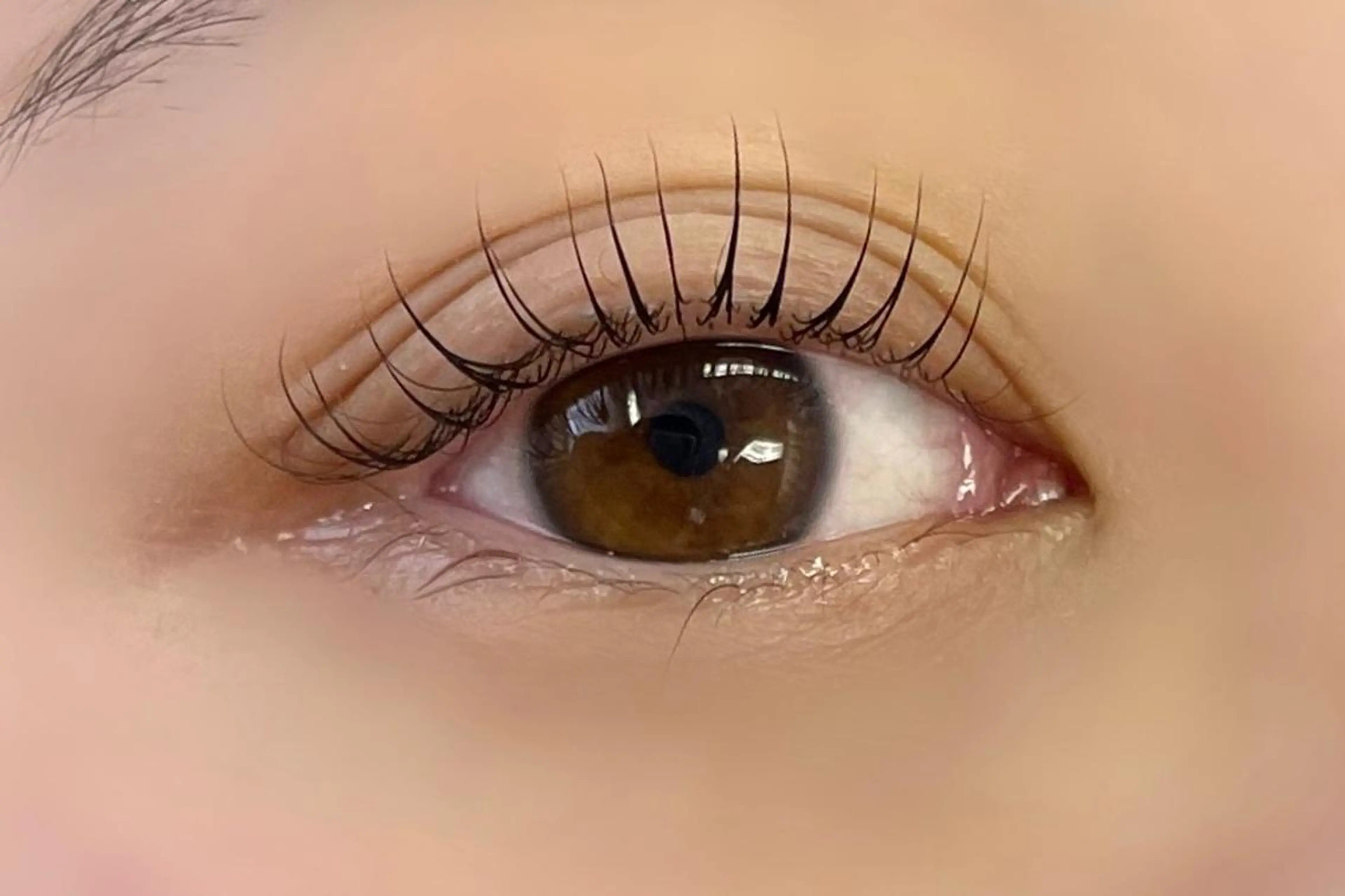 マツエク・マツパ マツパ 大阪福島韓国束感まつ げ Sayaka🤍のマツエク・マツパデザイン