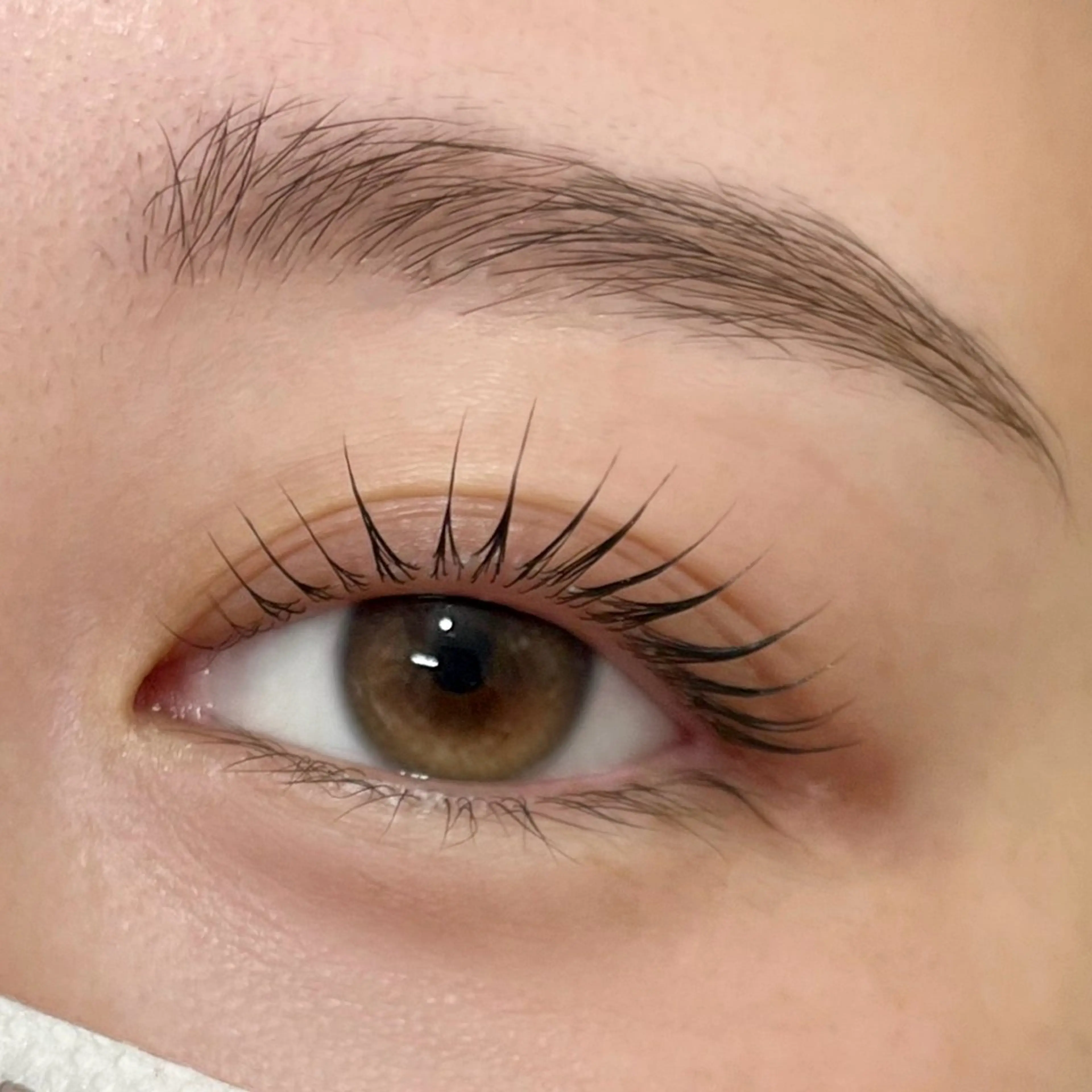 マツエク・マツパ マツパ yuuka🤍 アイブロウのマツエク・マツパデザイン