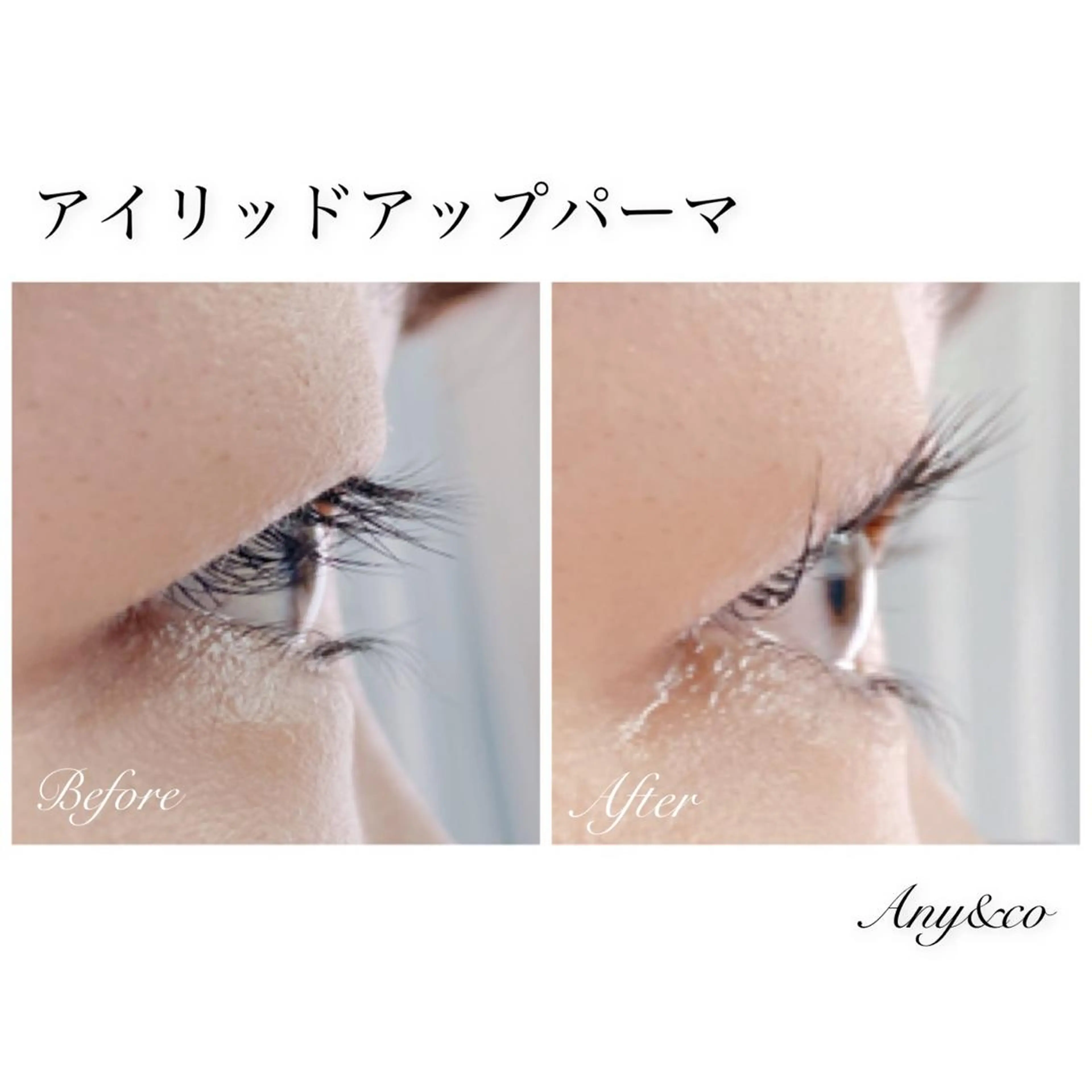マツエク・マツパ アイリッドアップパーマ Any&co 【エニコ】のマツエク・マツパデザイン