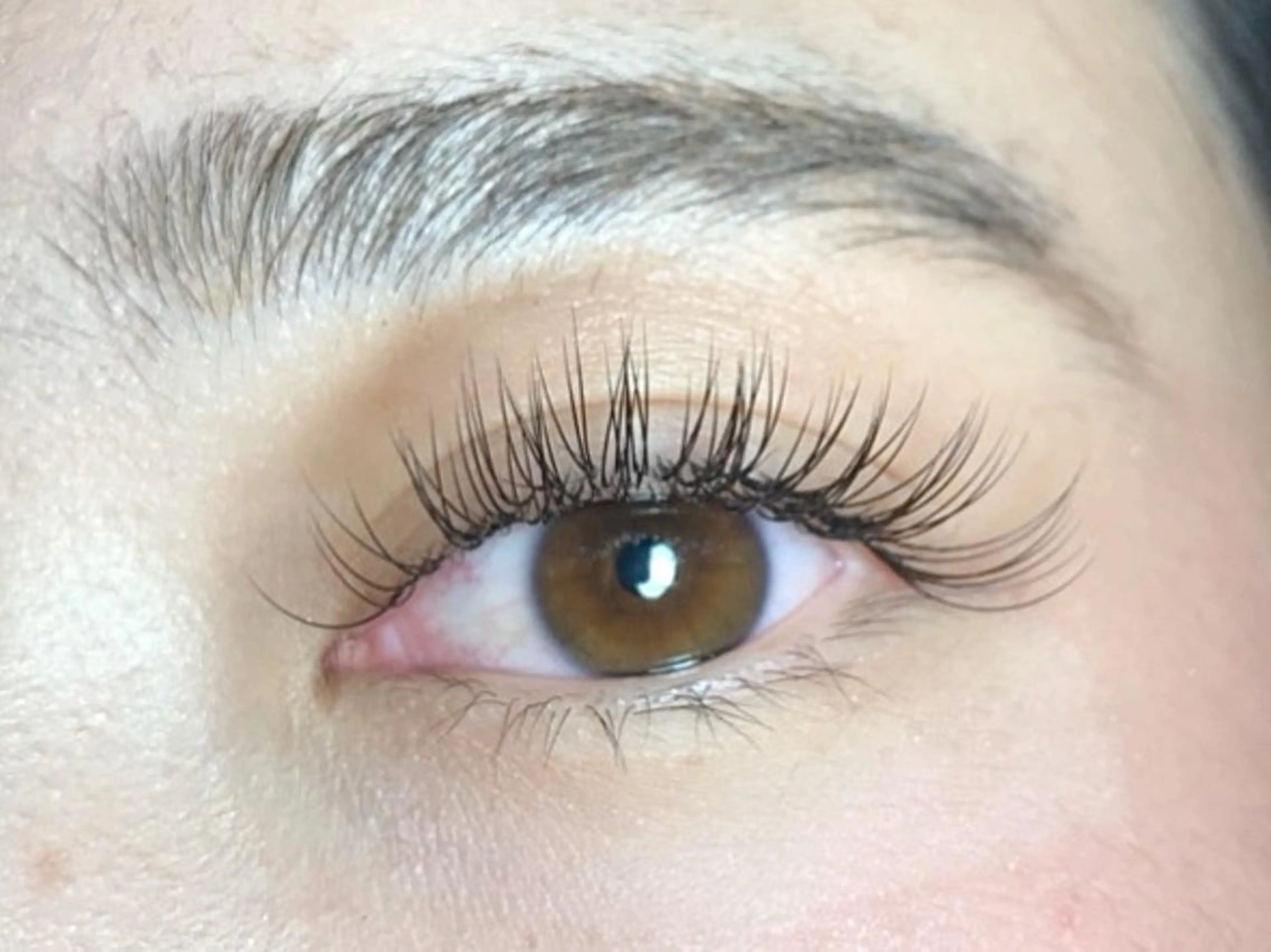 セーブル160本コース、オフ込みの写真