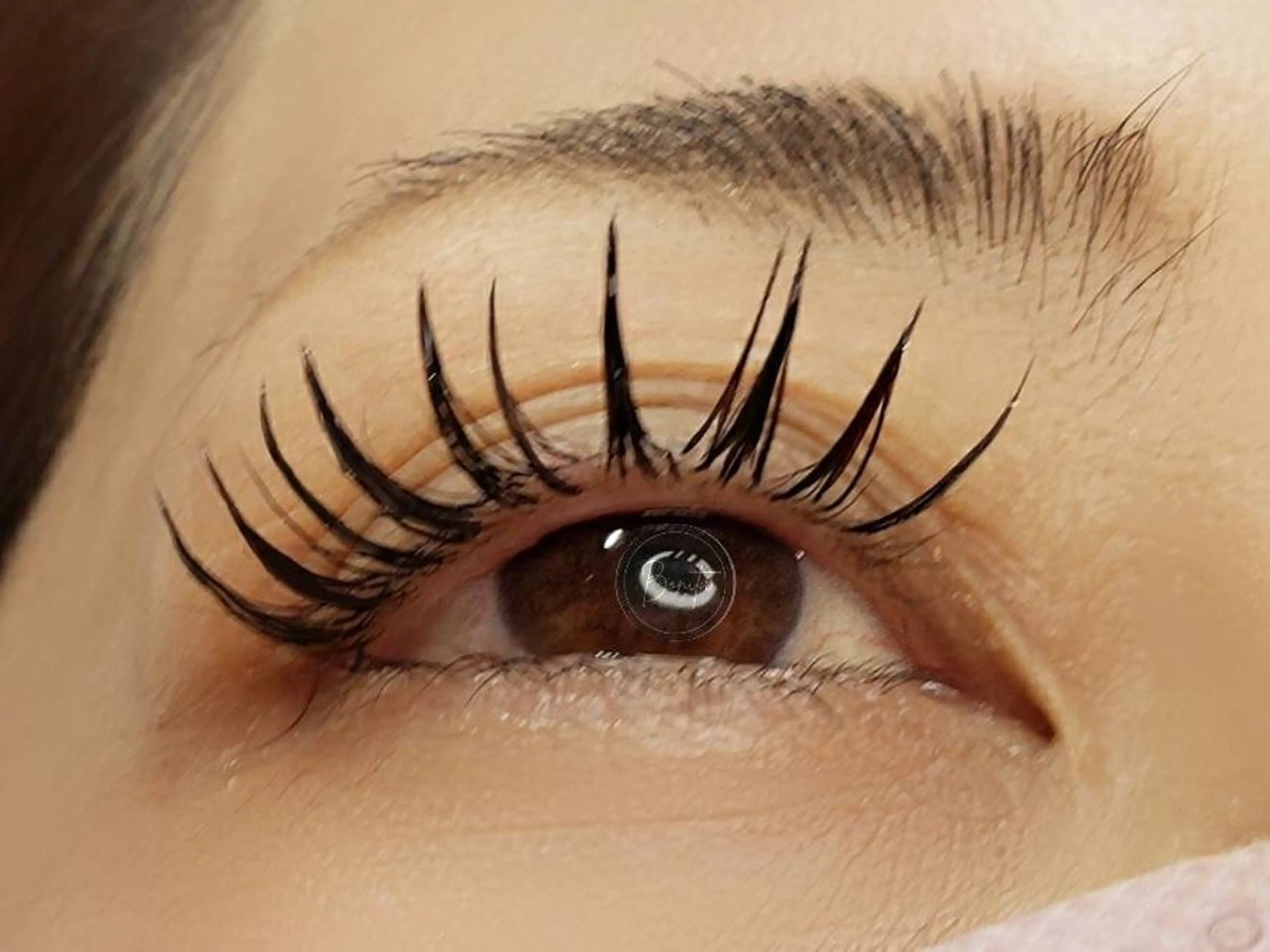 マツエク・マツパ 束感まつ毛 フラットラッシュ 山本 マツゲのマツエク・マツパデザイン