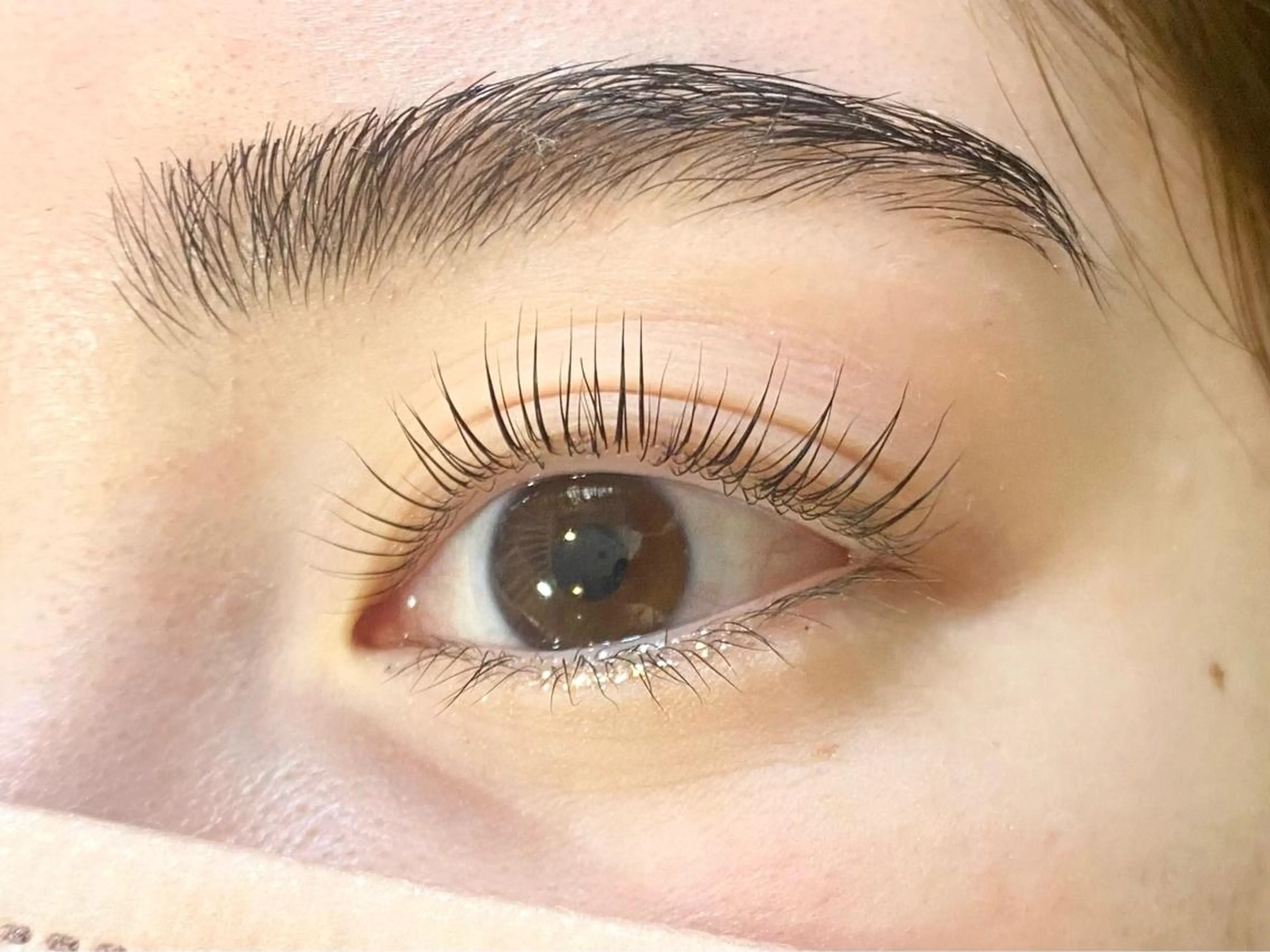 マツエク・マツパ マツパ Chisato🤍池 袋/マツパ/マツエクのマツエク・マツパデザイン