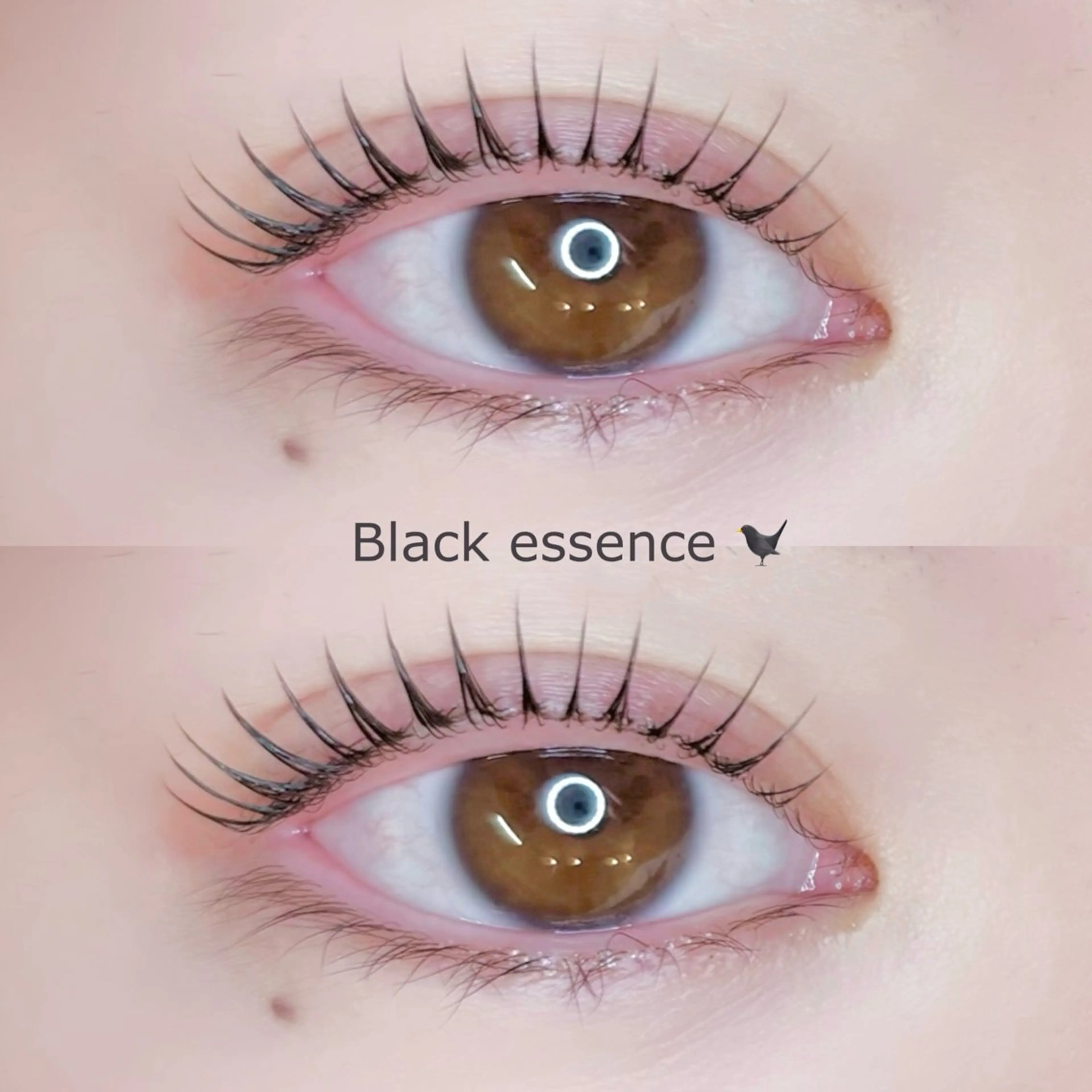 マツエク・マツパ マツパ ：O 🛋️ eye designのマツエク・マツパデザイン