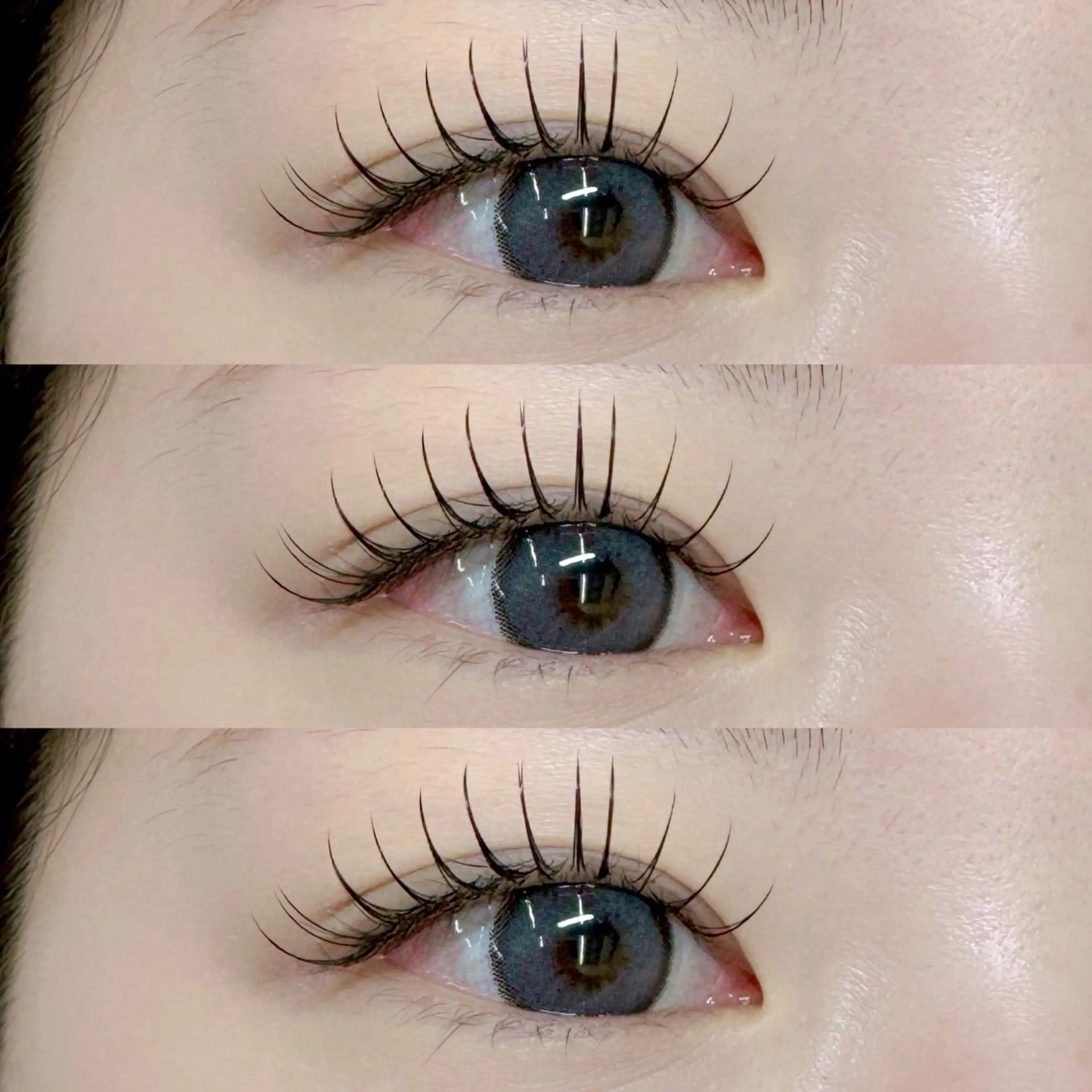 期間限定！💝フラットラッシュ120(オフ込み)🐈‍⬛の写真