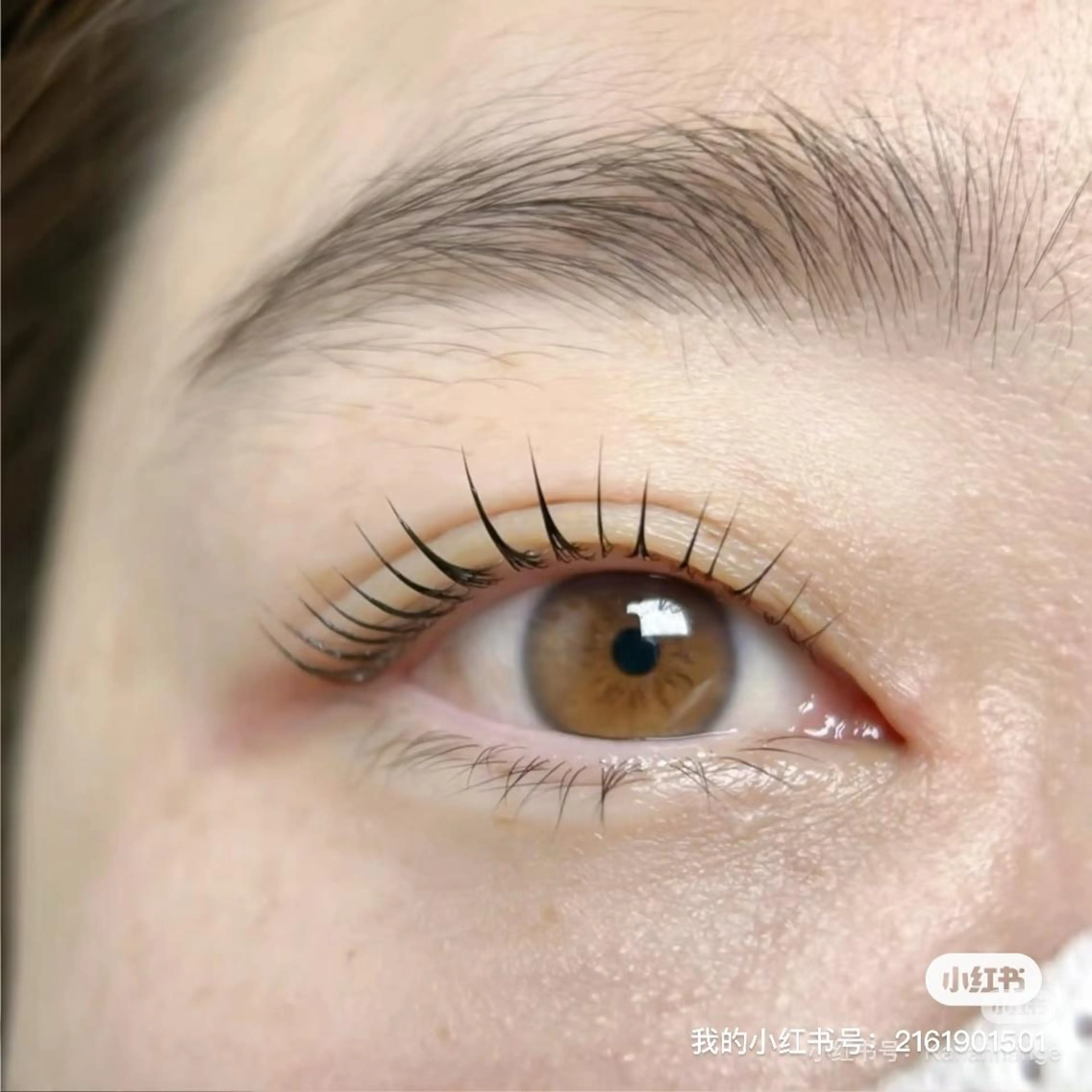 マツエク・マツパ マツパ な なのマツエク・マツパデザイン