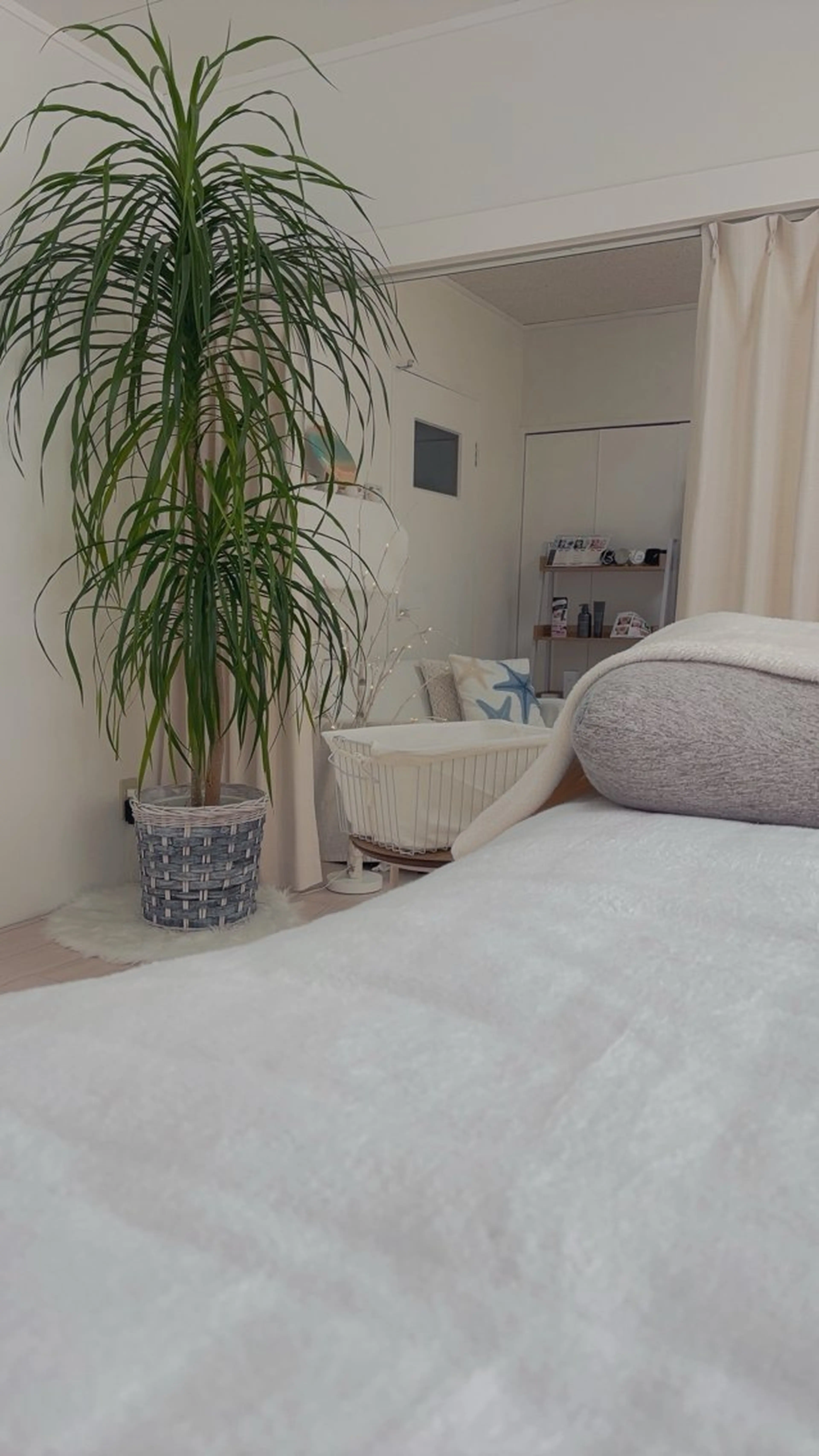 マツエク・マツパ 江洲 Vibliss ｳﾞｨﾌﾞﾘｽのマツエク・マツパデザイン